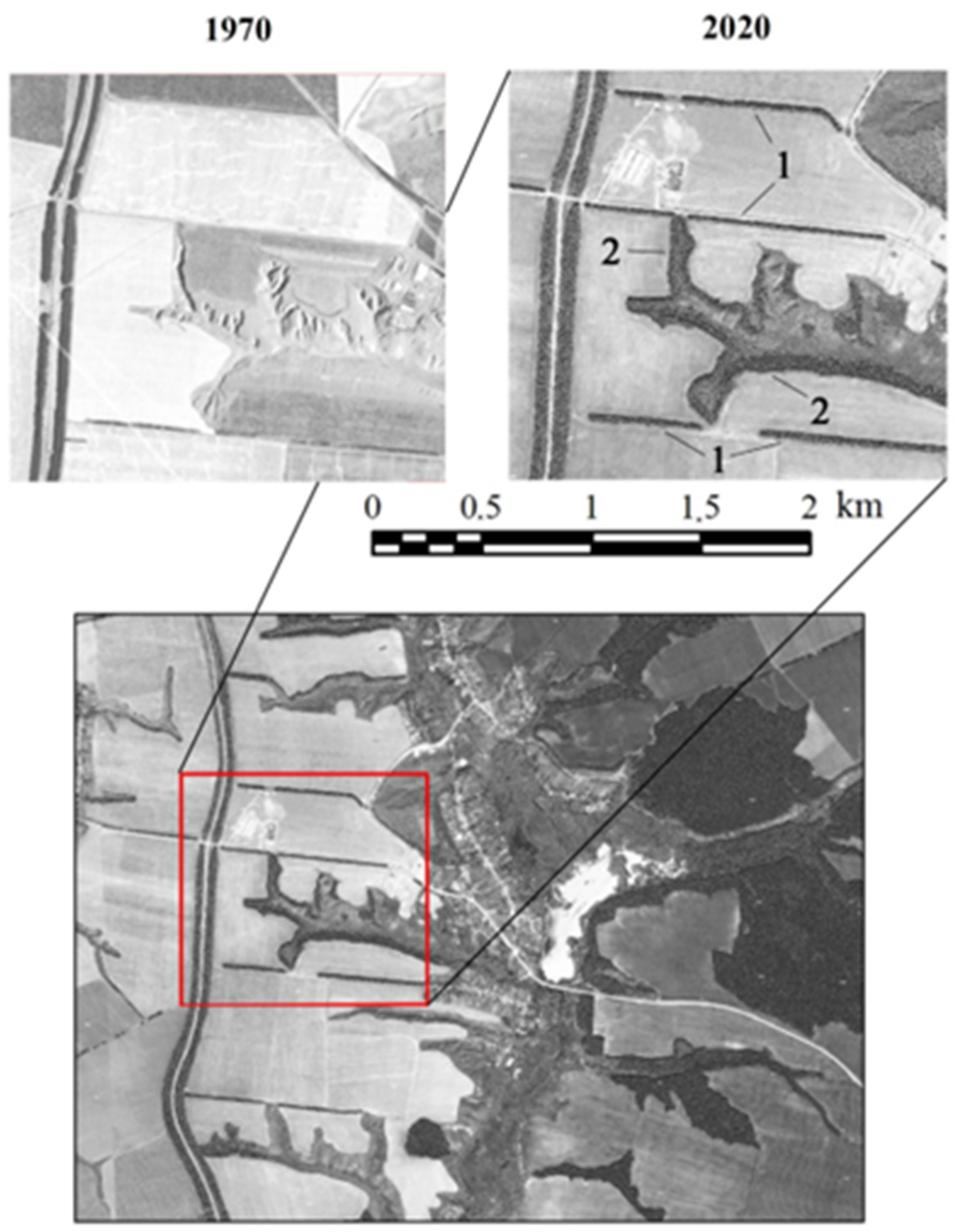 Forests 14 02079 g010