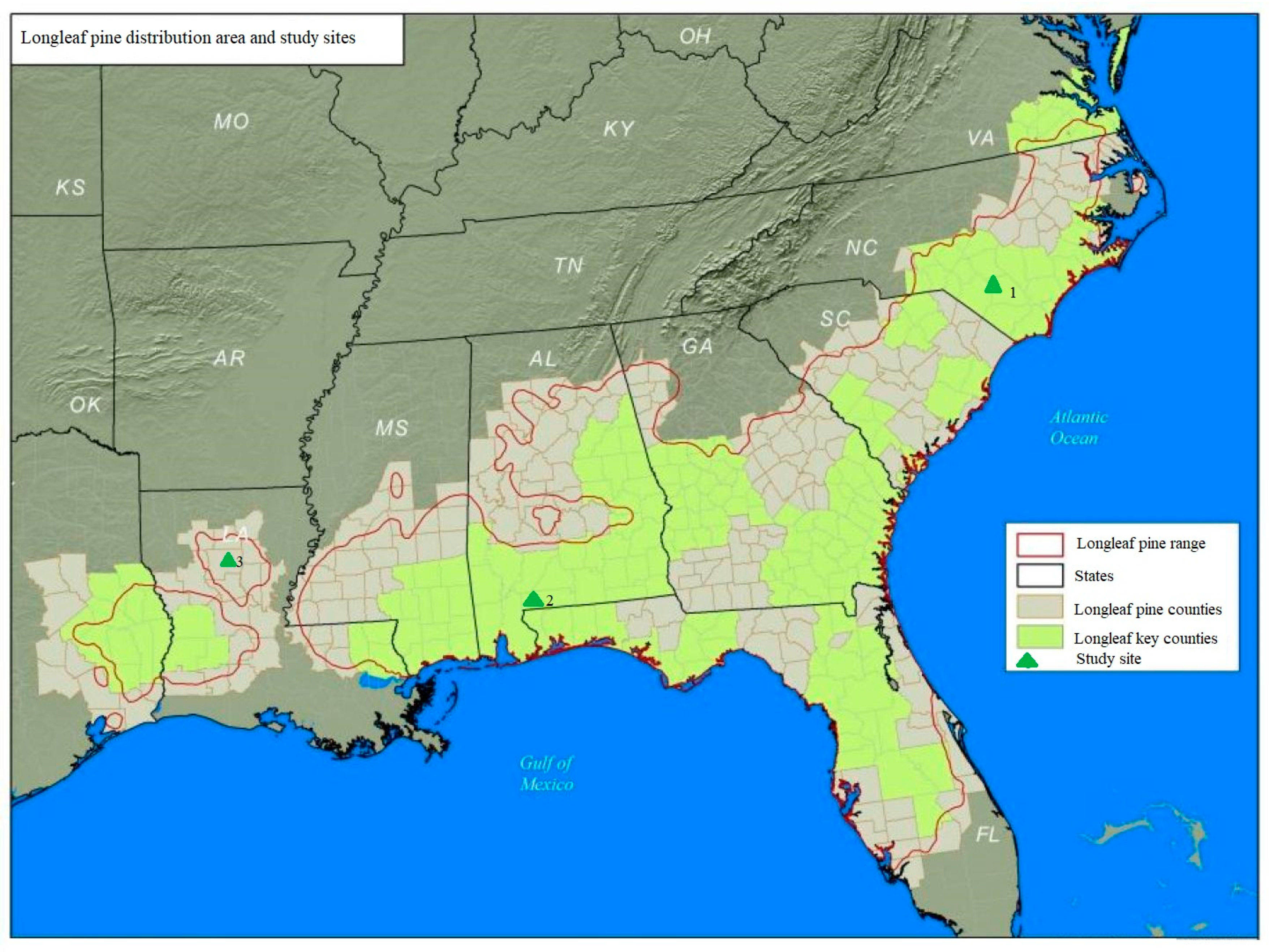 Forests 14 02081 g001