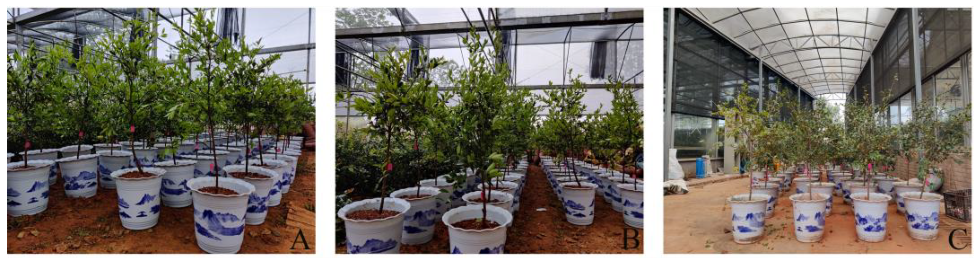 Forests 14 02082 g001