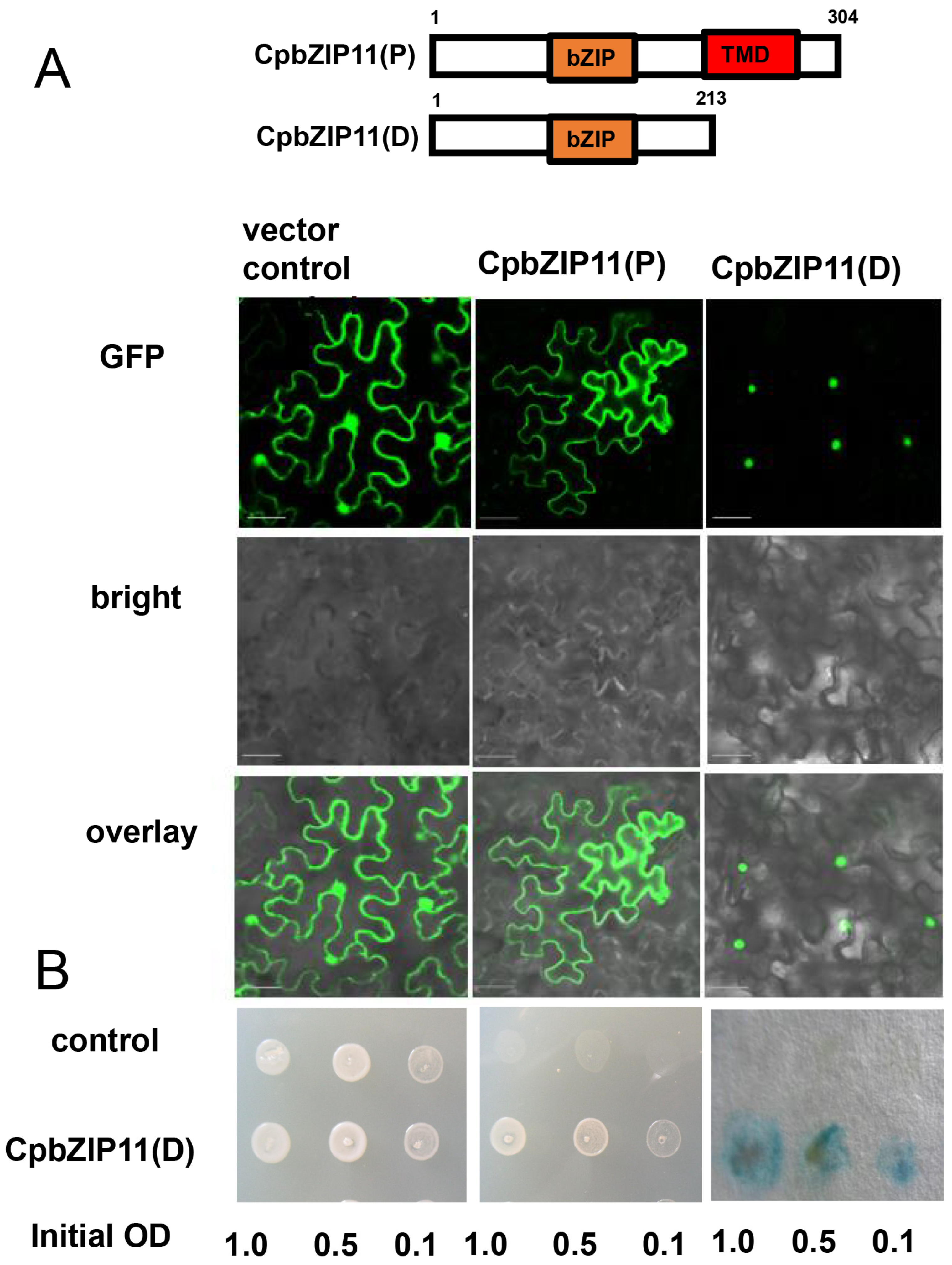 Forests 14 02104 g004