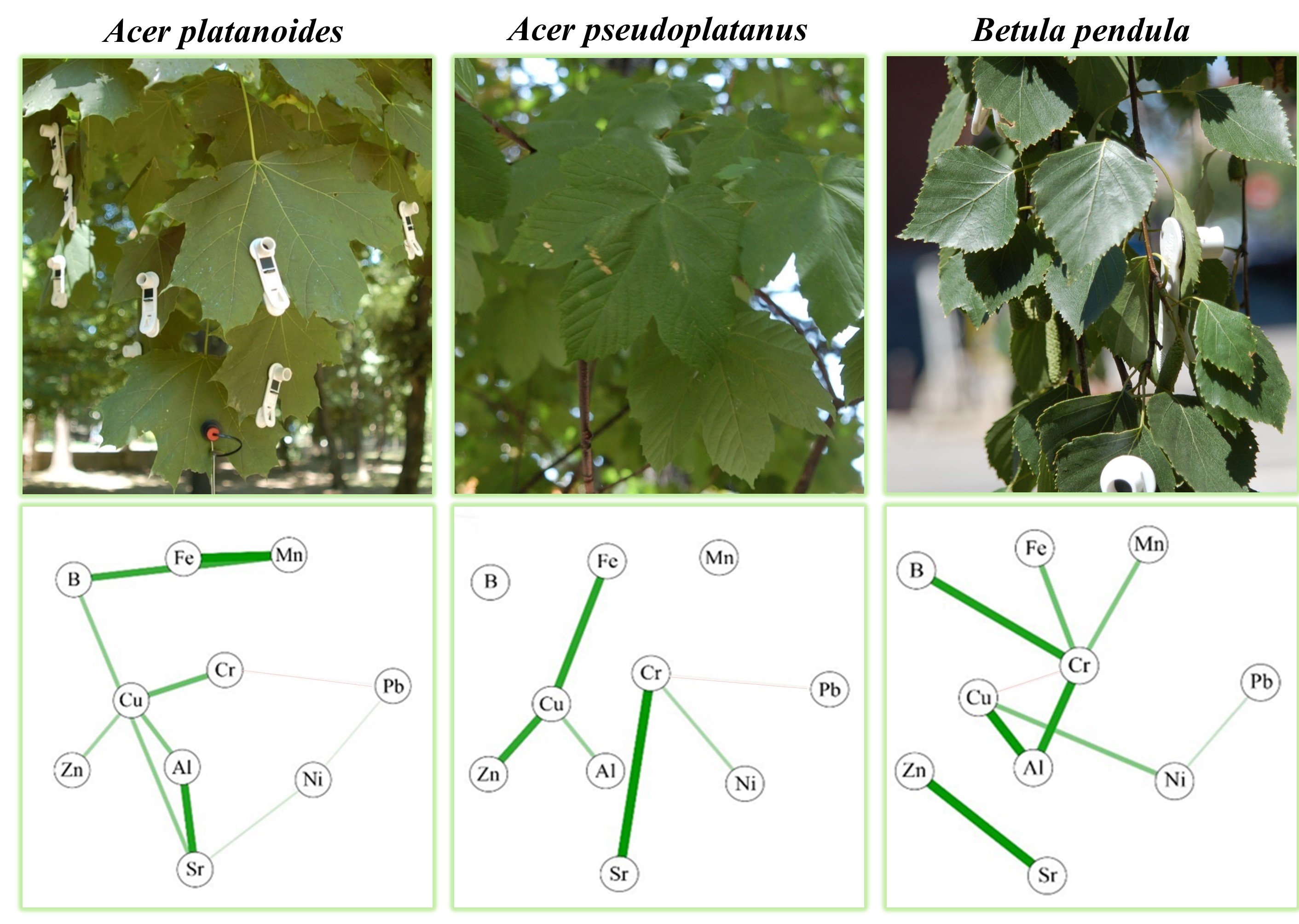 Forests 14 02116 g002