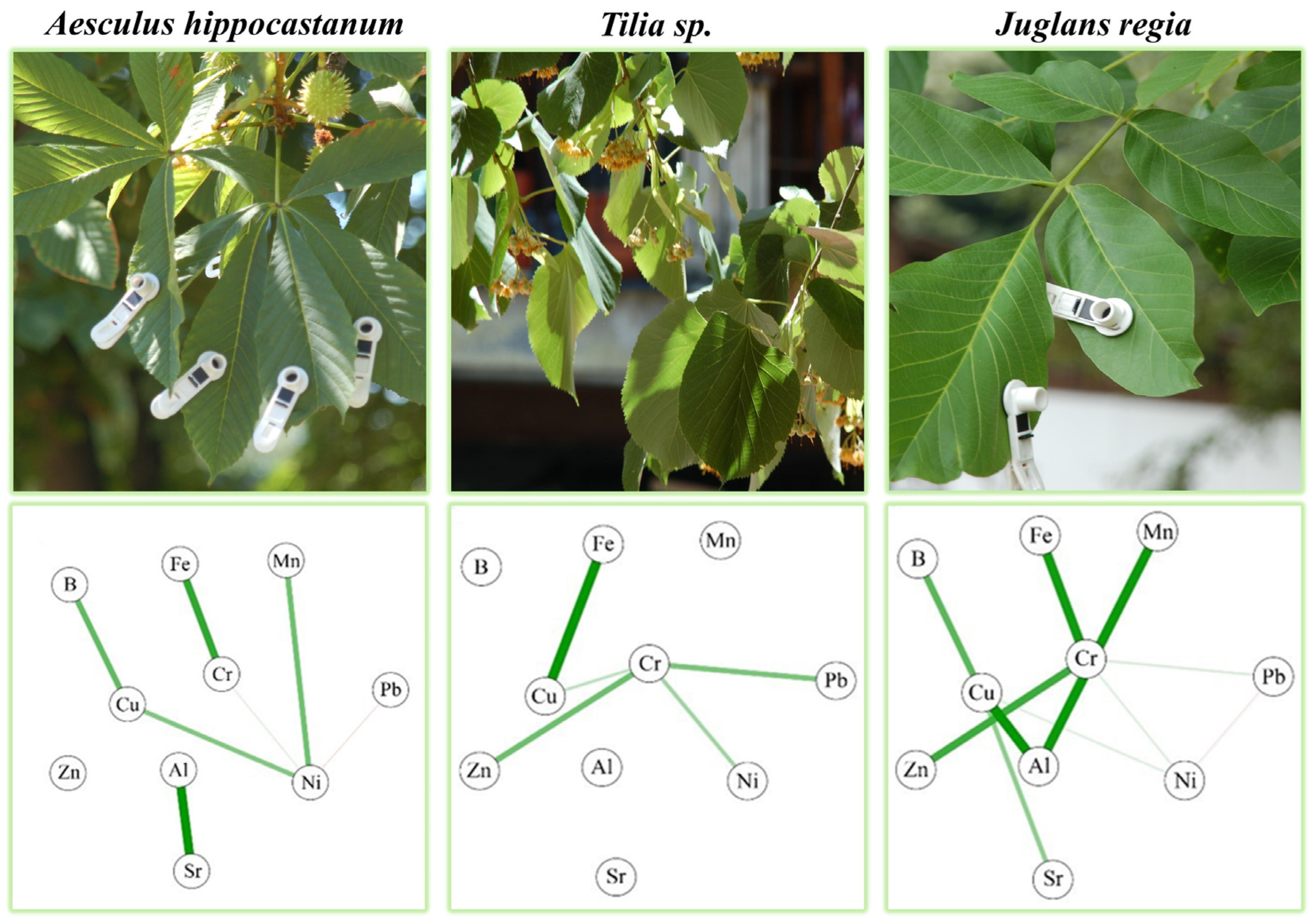 Forests 14 02116 g003