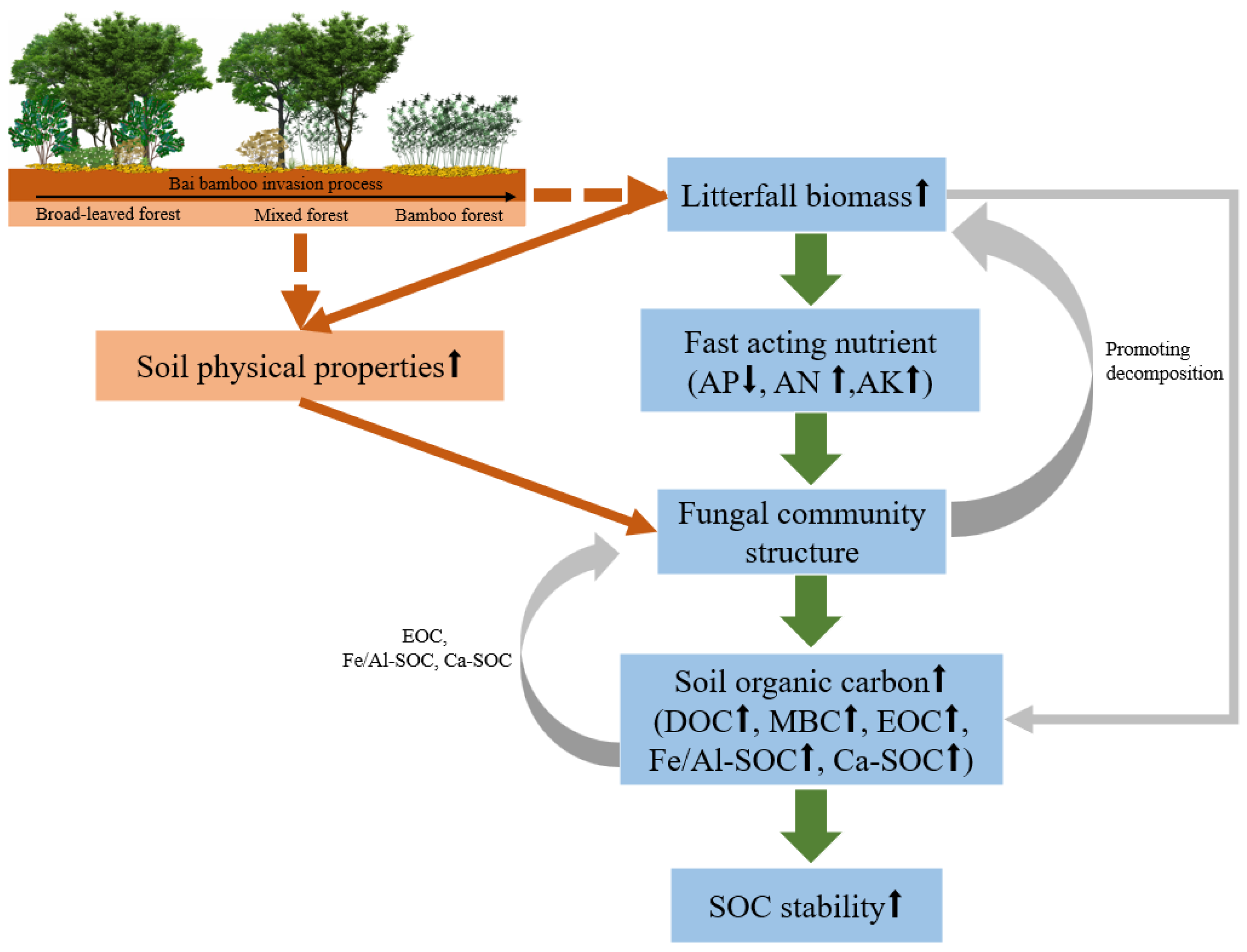 Forests 14 02135 g008