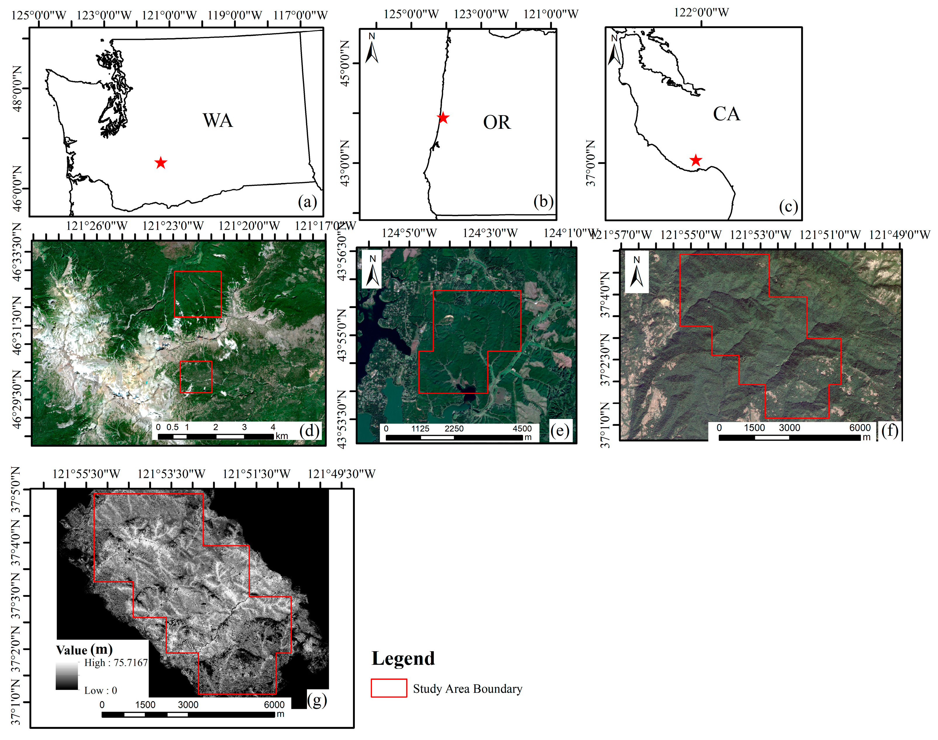 Forests 14 02146 g001