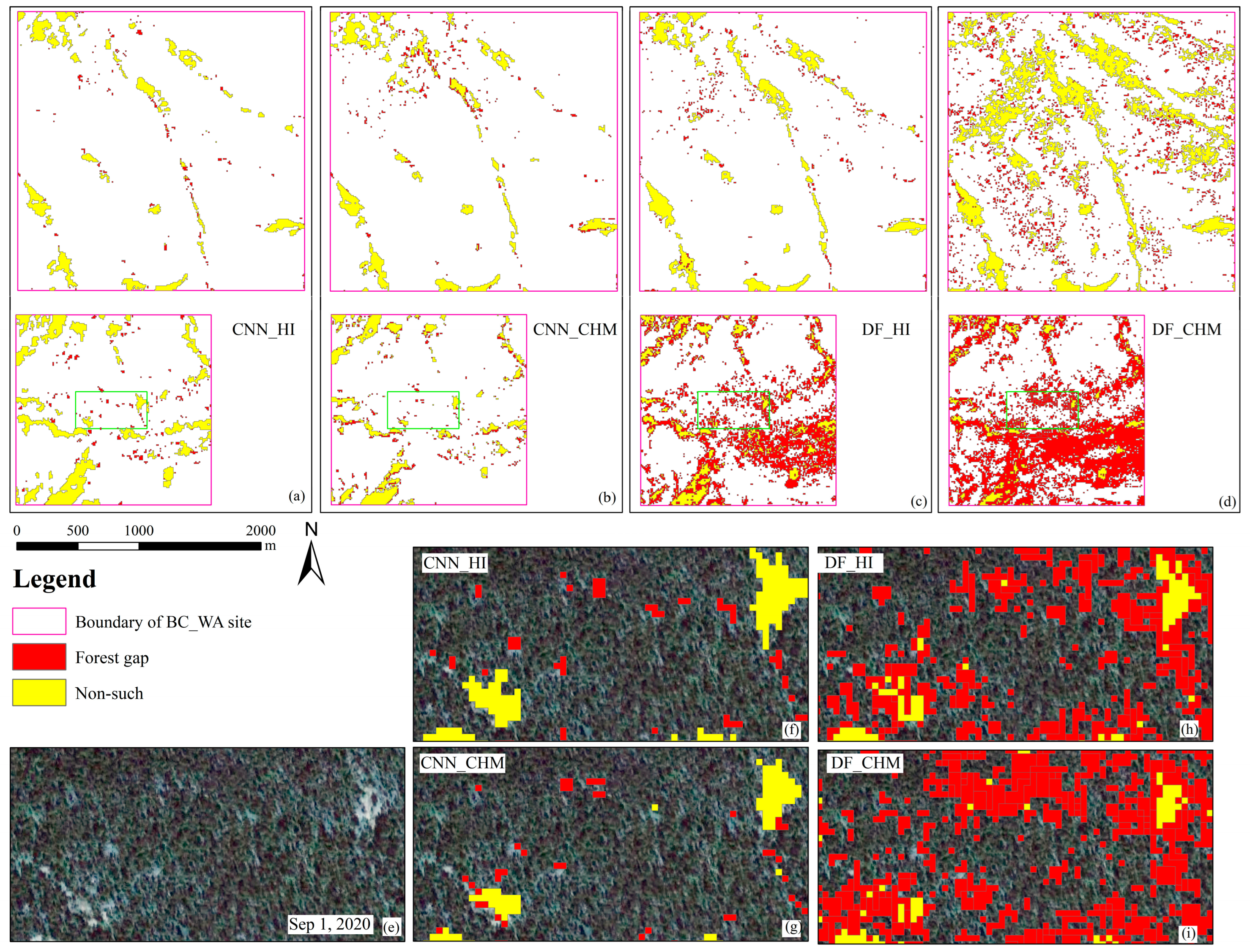 Forests 14 02146 g012