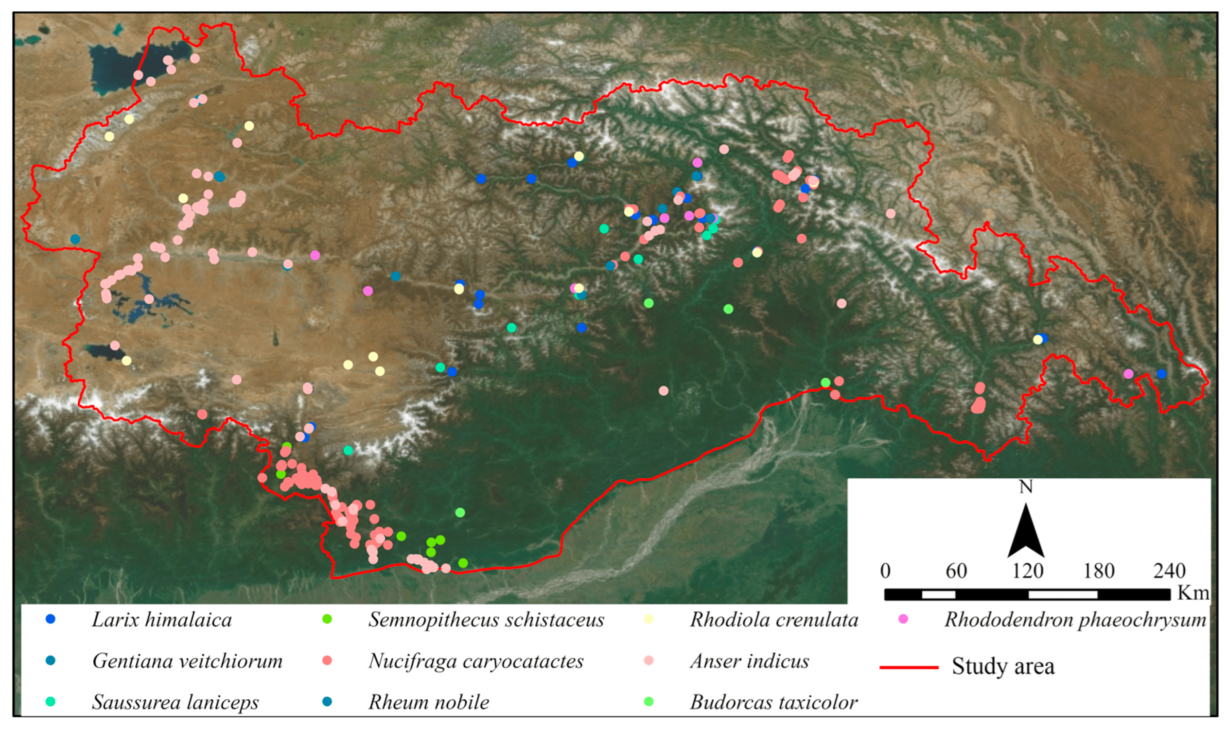 Forests 14 02149 g003