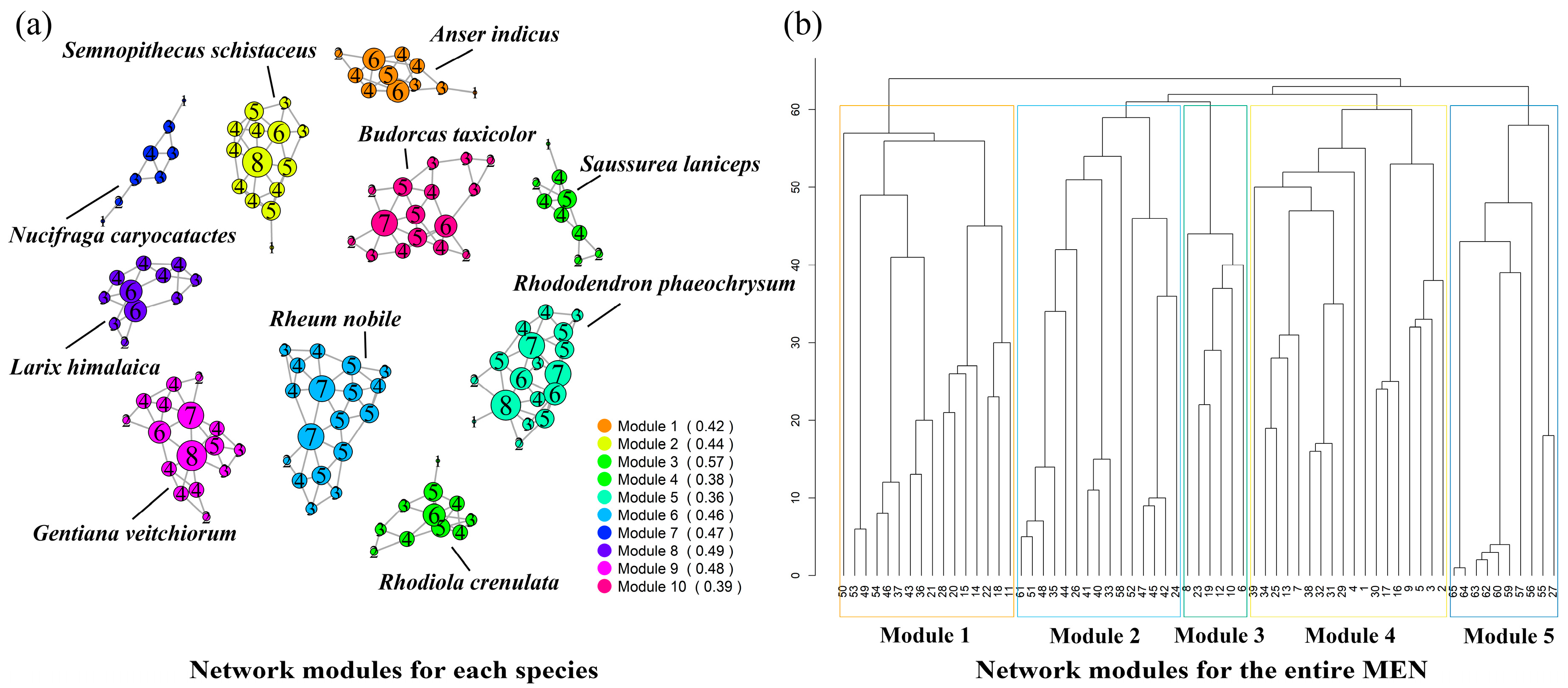 Forests 14 02149 g007