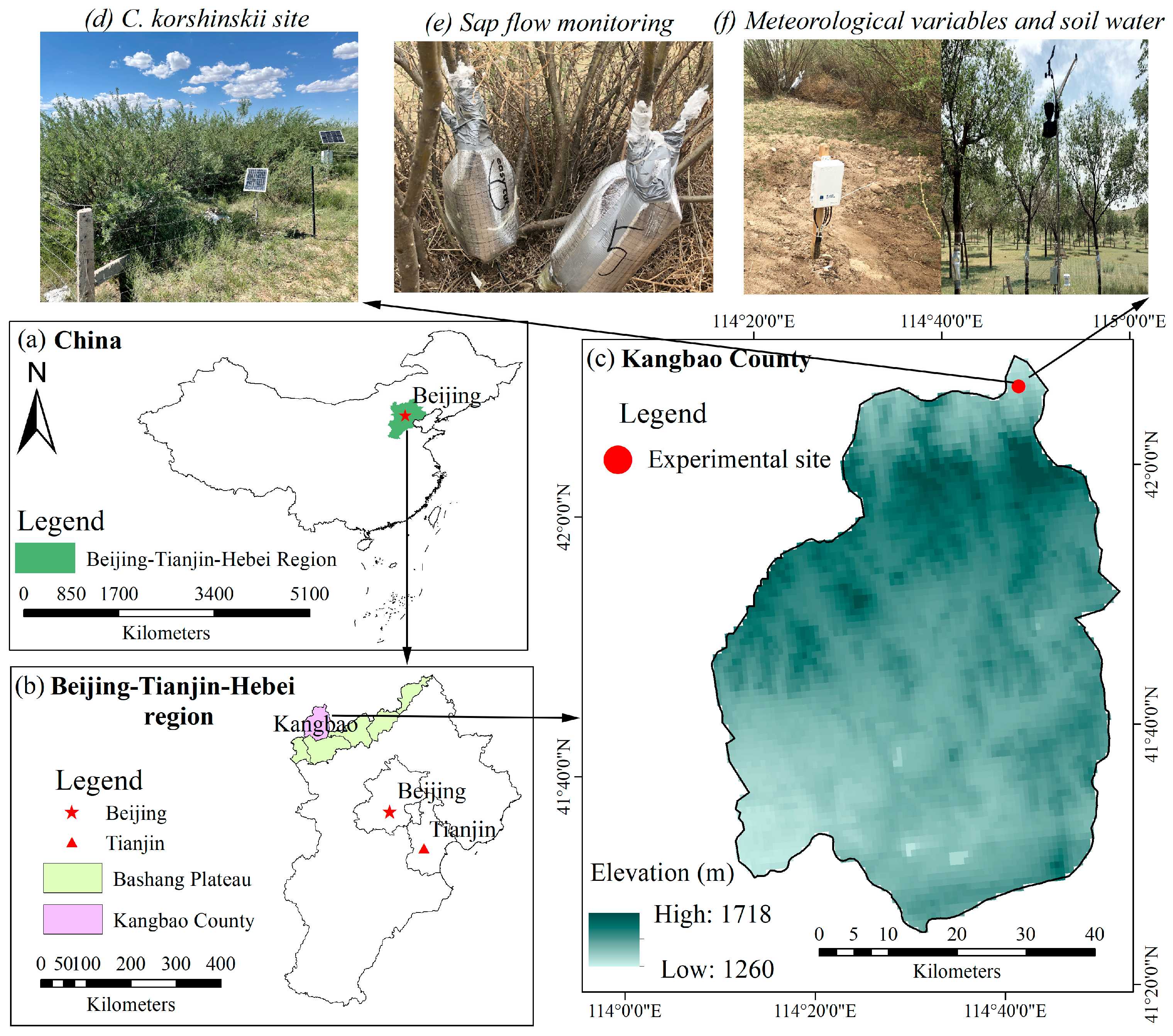 Forests 14 02154 g001