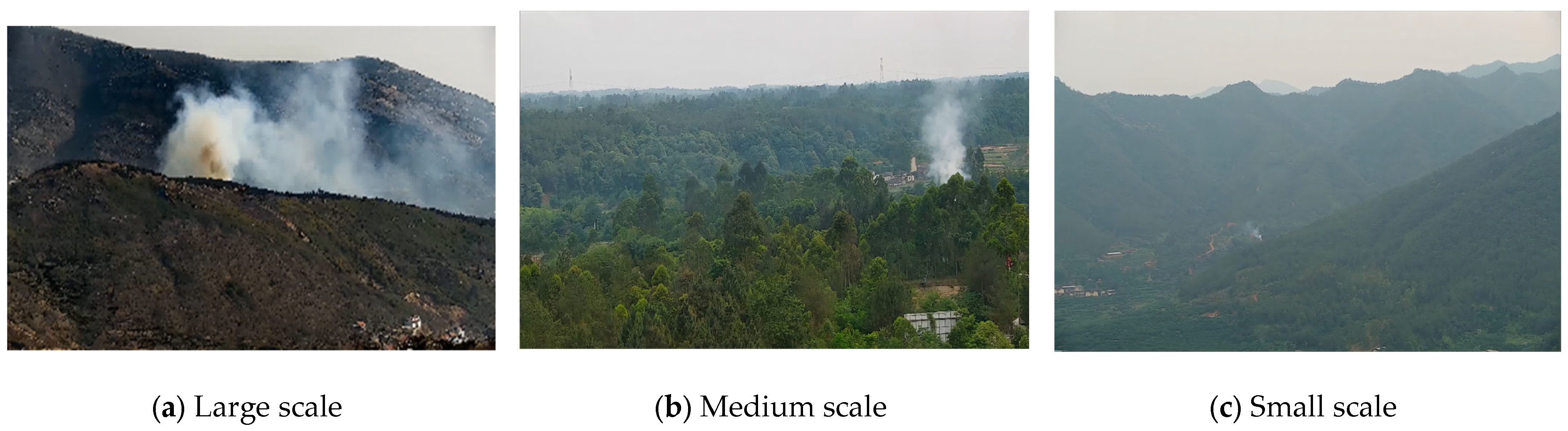 Forests 14 02157 g001