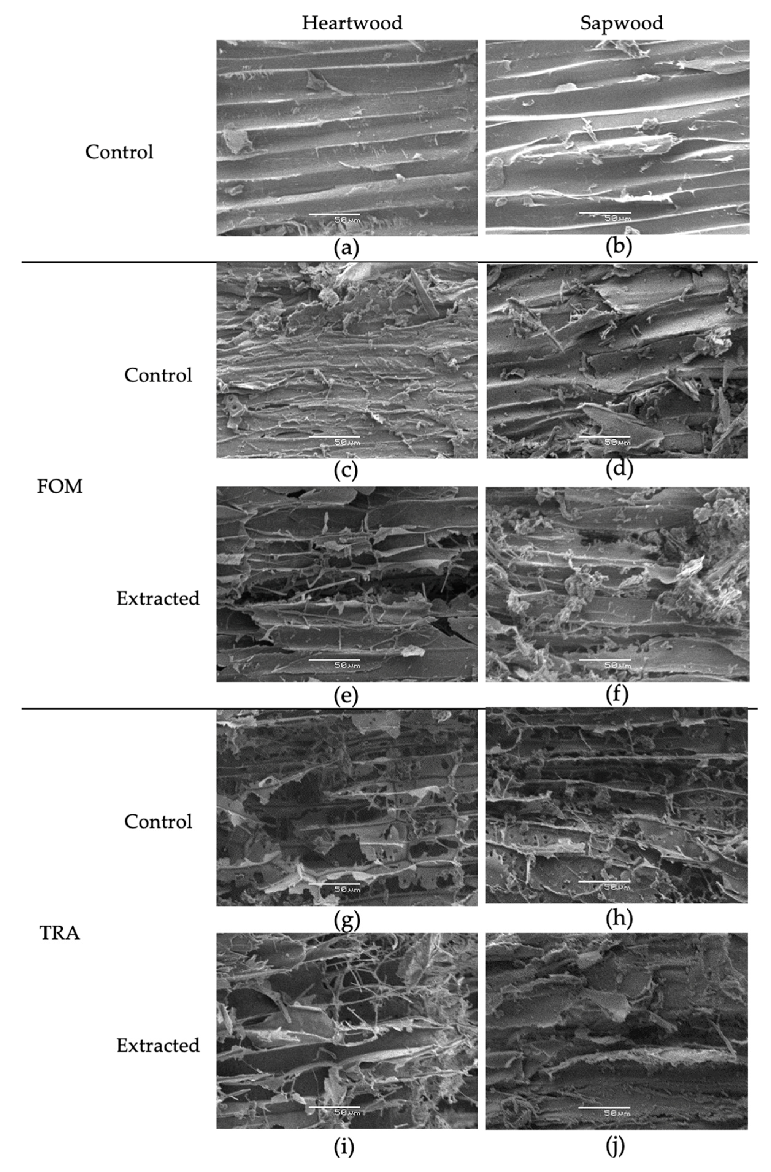 Forests 14 02171 g003