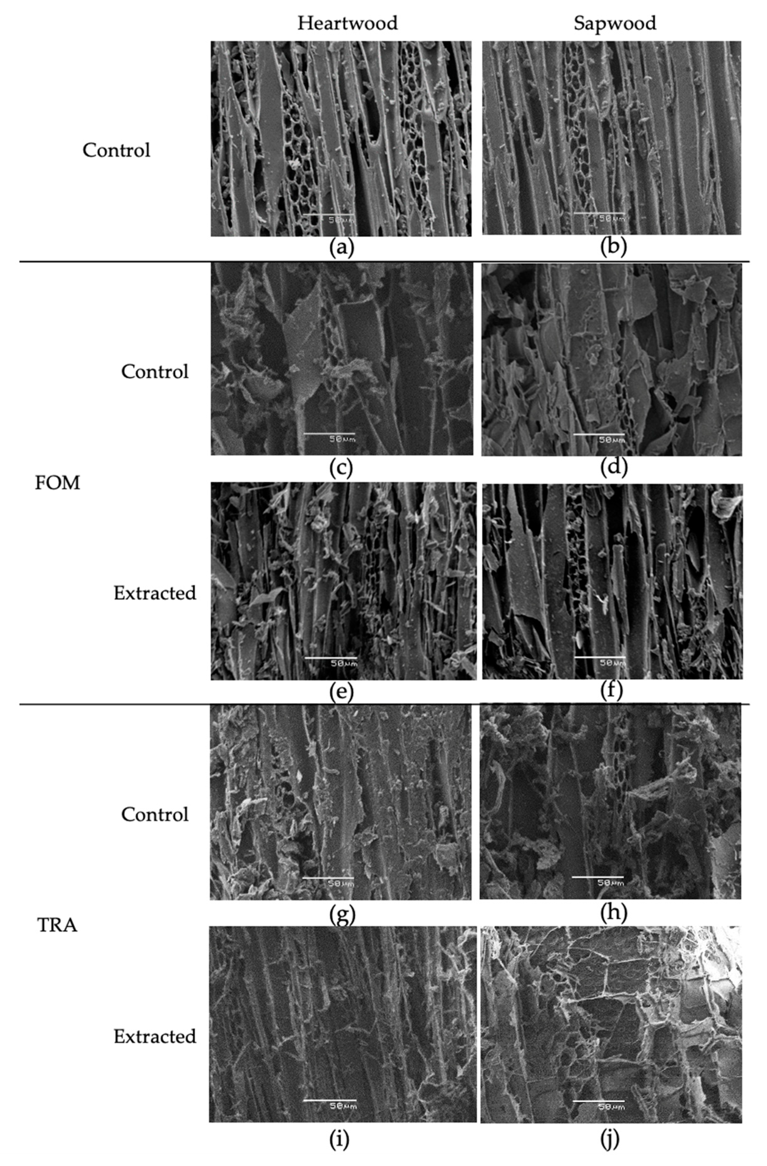 Forests 14 02171 g004
