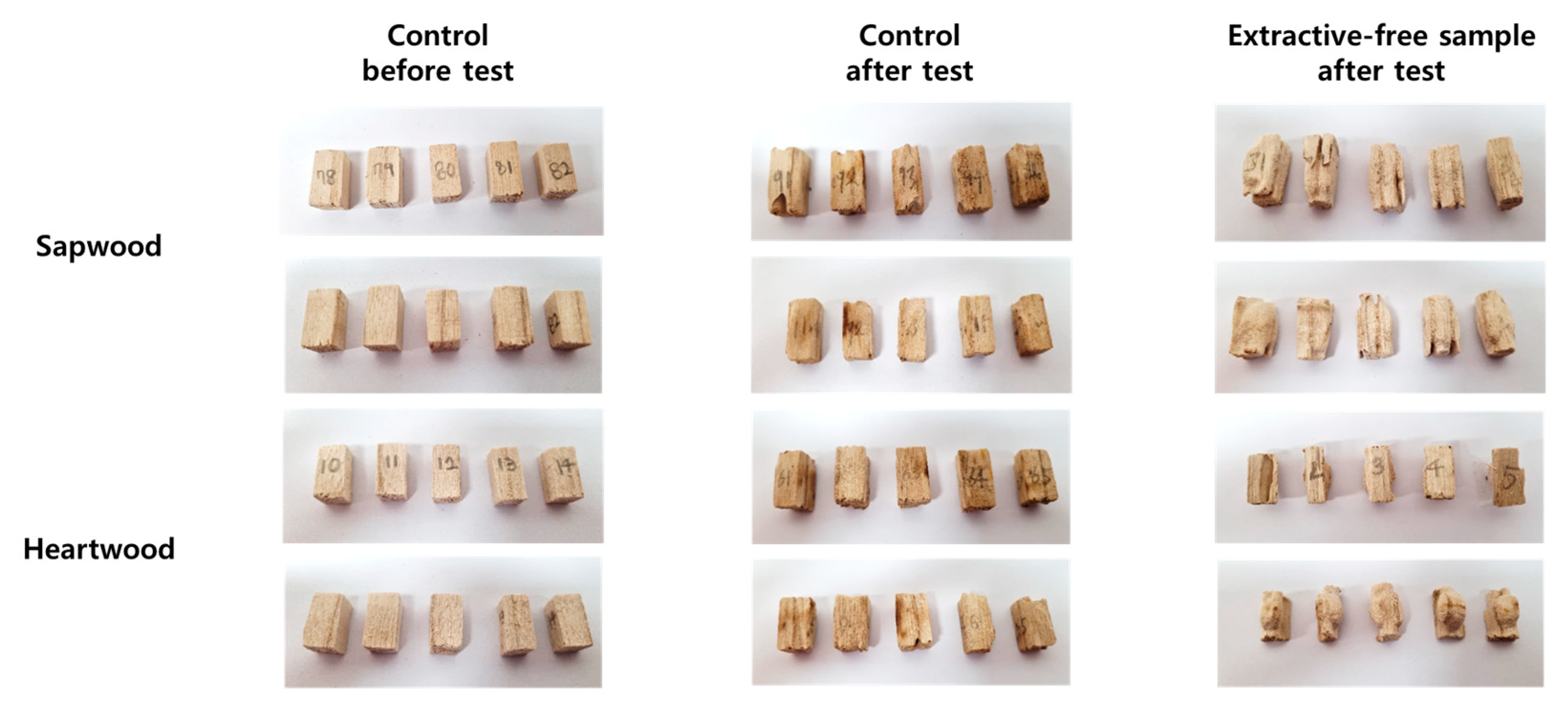 Forests 14 02171 g005