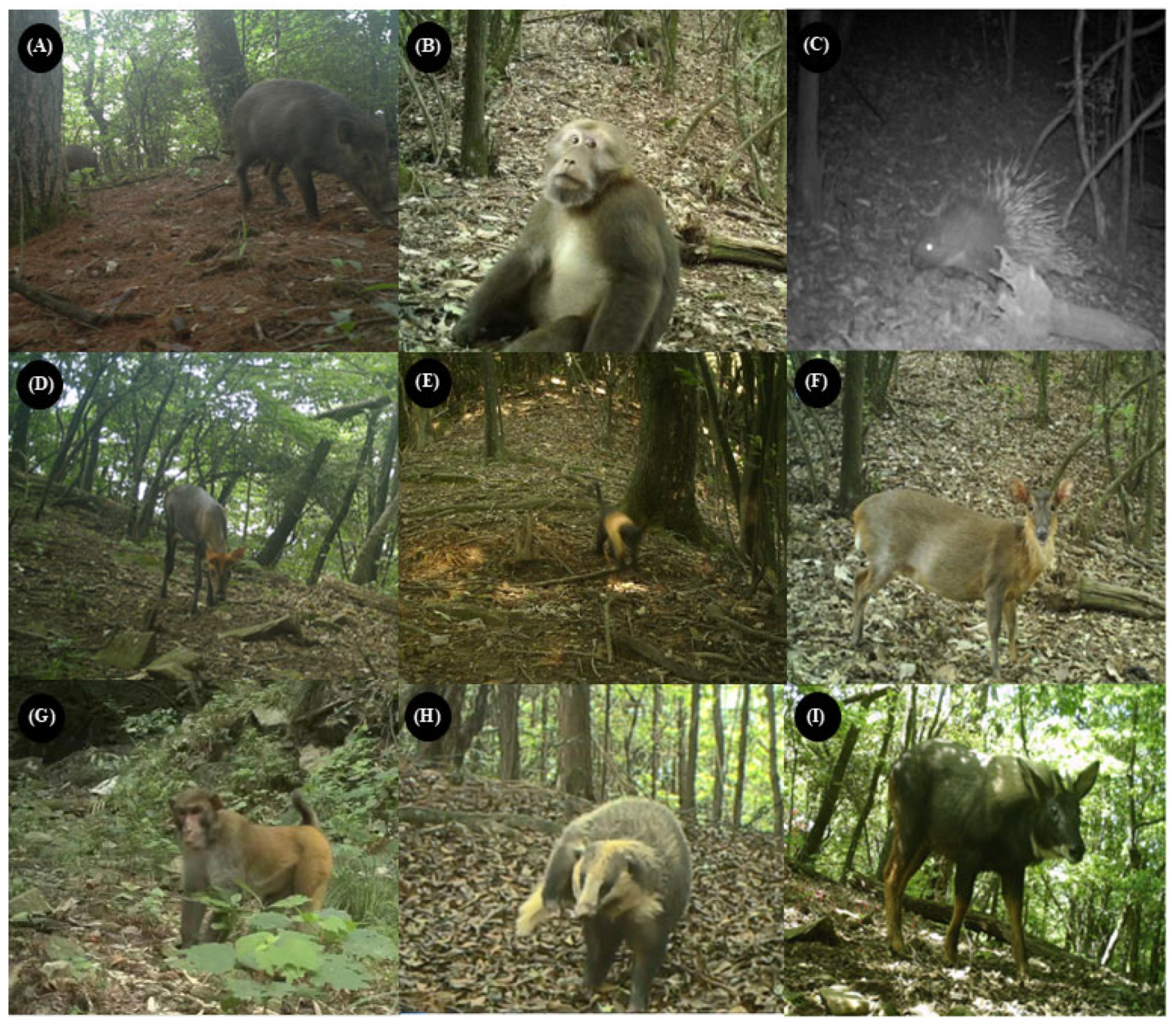 Forests 14 02180 g003