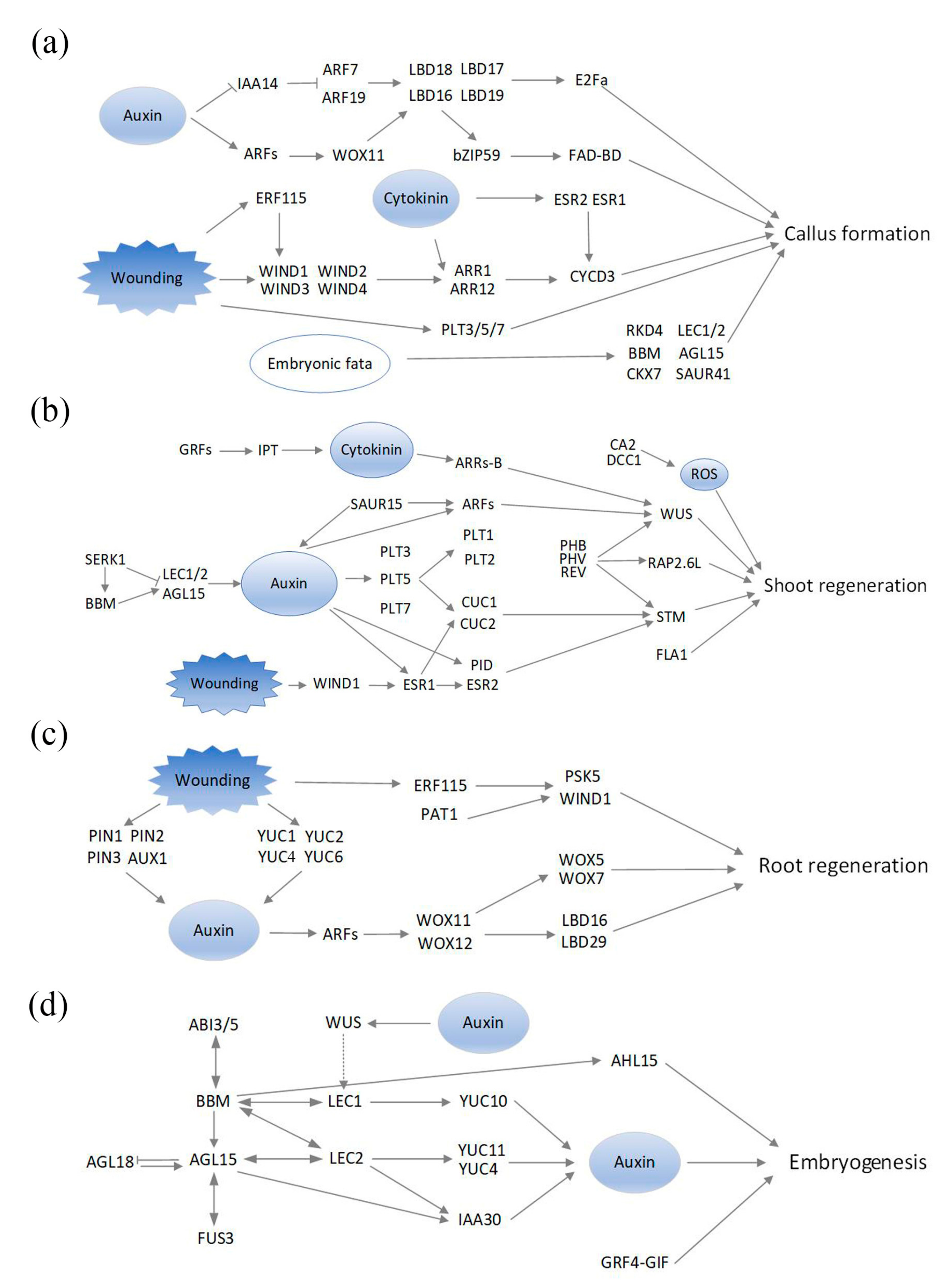 Forests 14 02195 g001