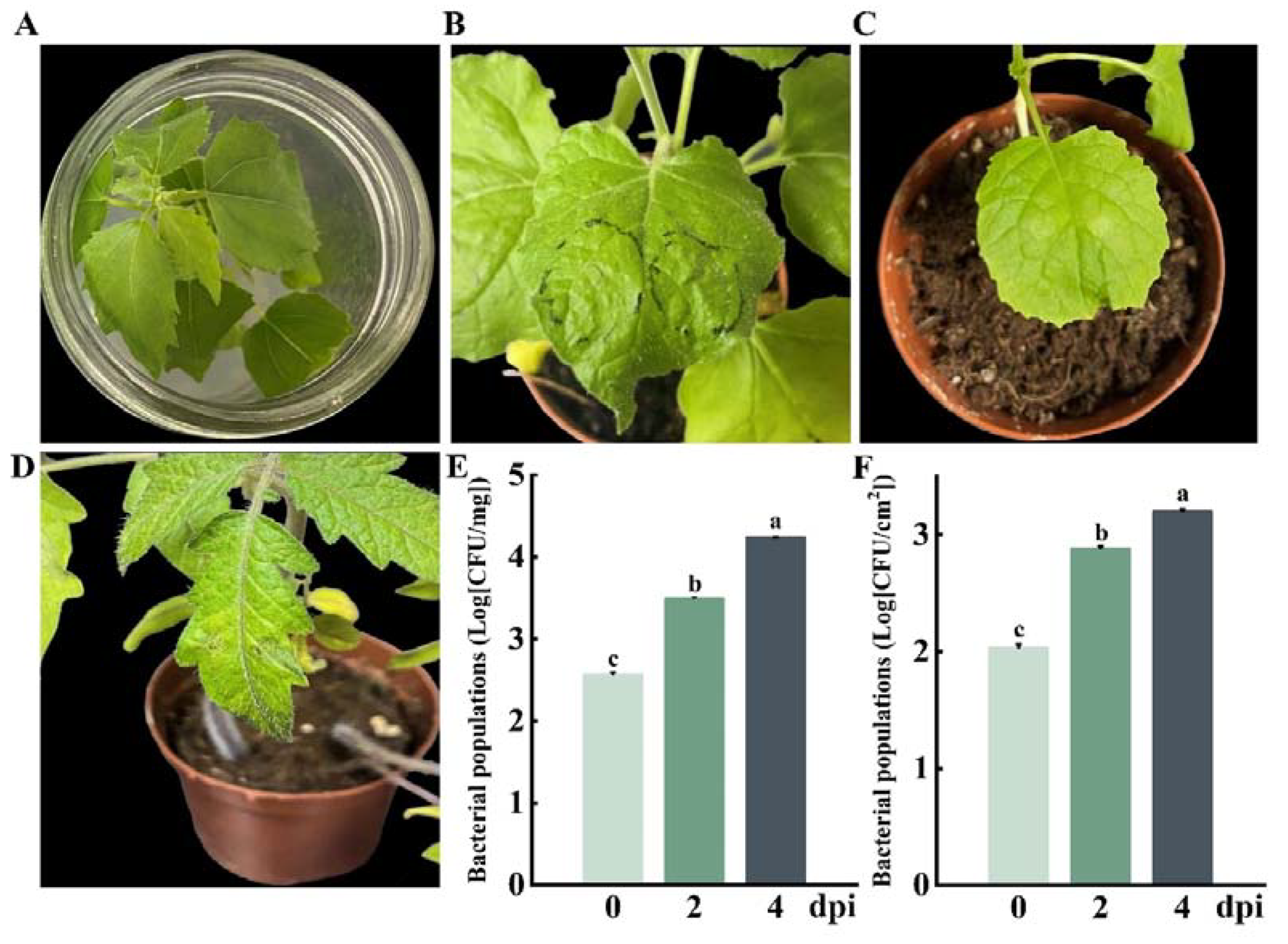 Forests 14 02203 g003