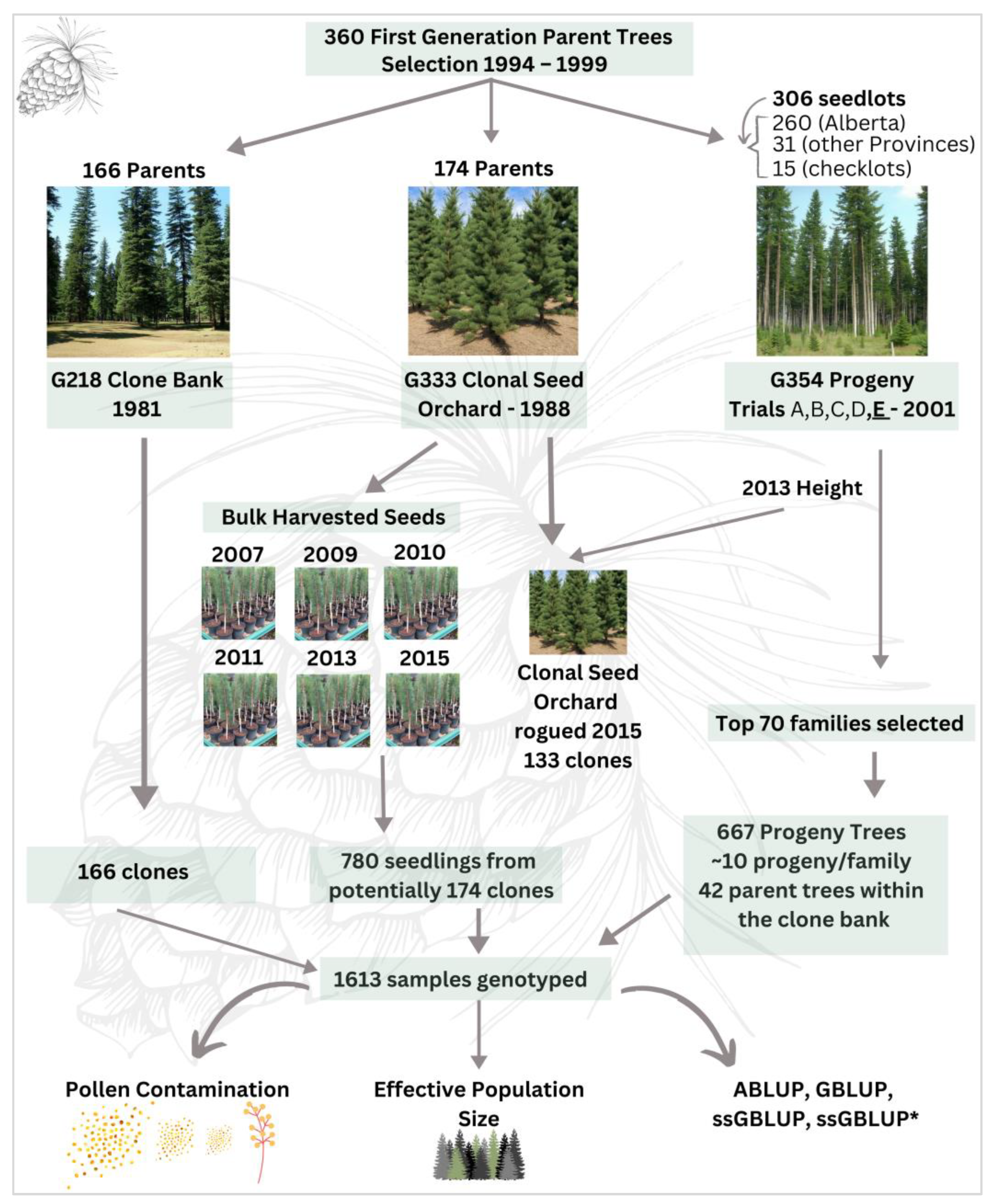 Forests 14 02212 g001