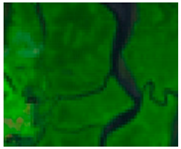 Forests 14 02217 i001