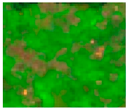 Forests 14 02217 i002