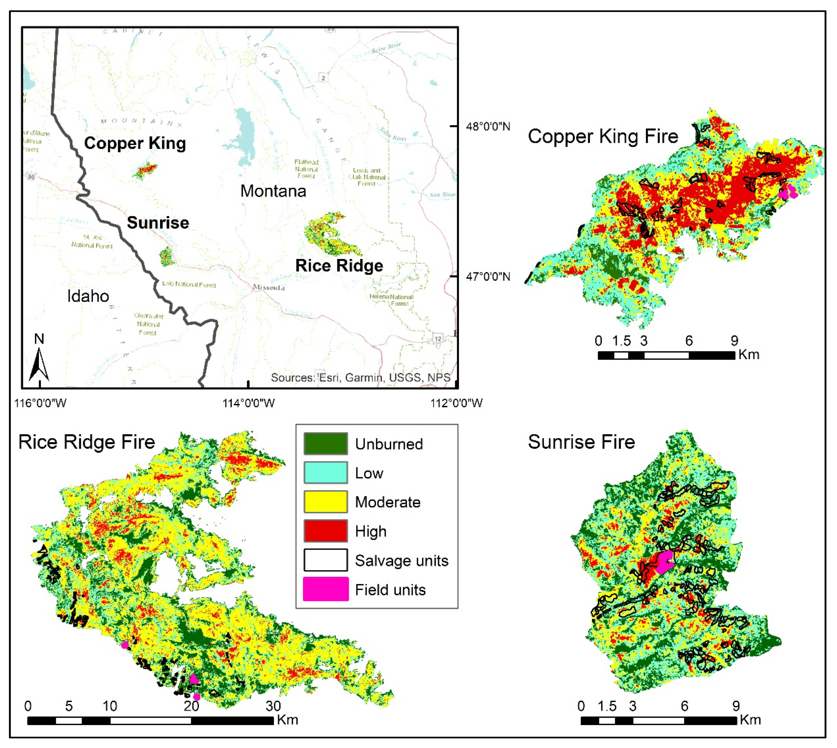 Forests 14 02218 g001