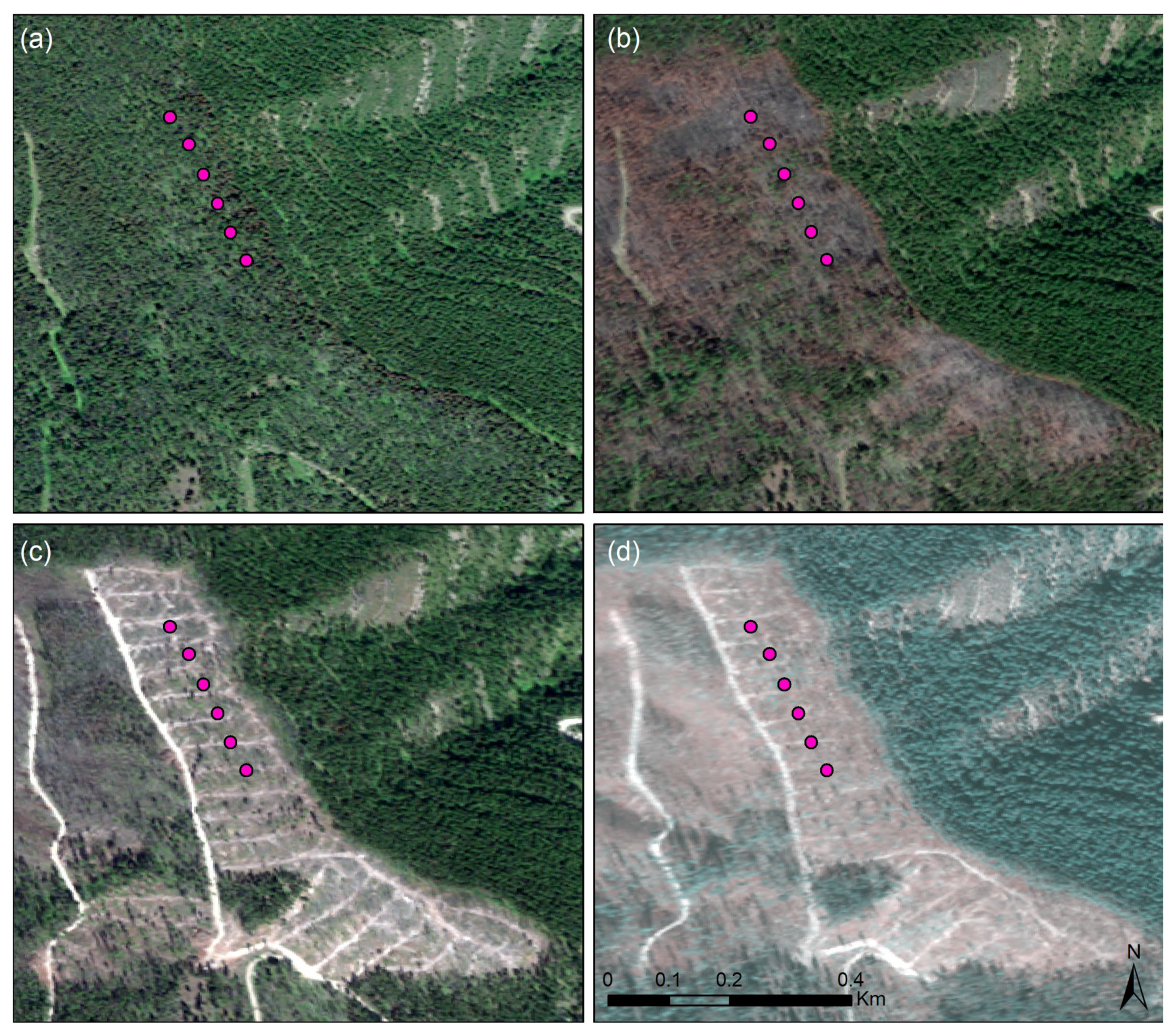 Forests 14 02218 g004