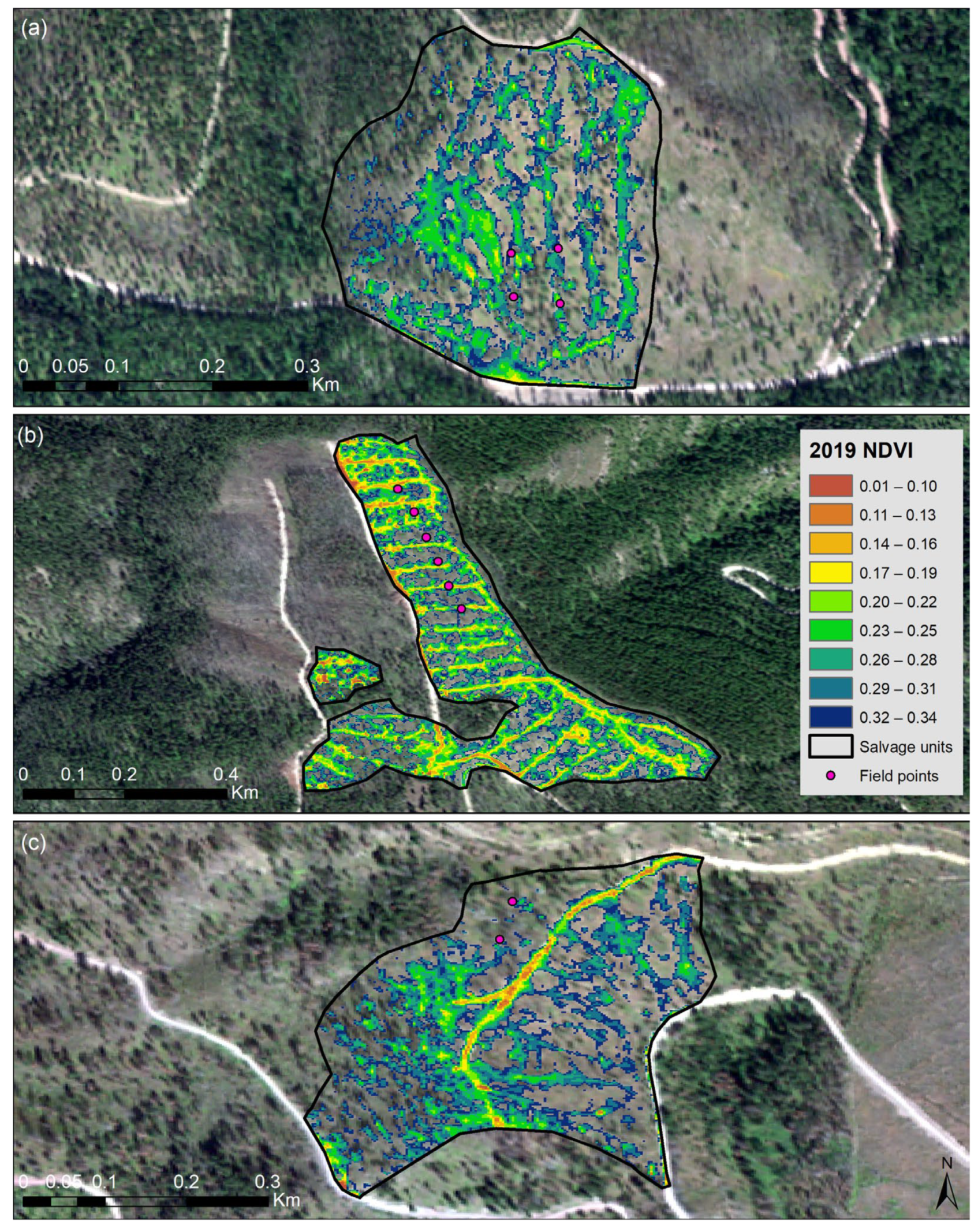 Forests 14 02218 g009