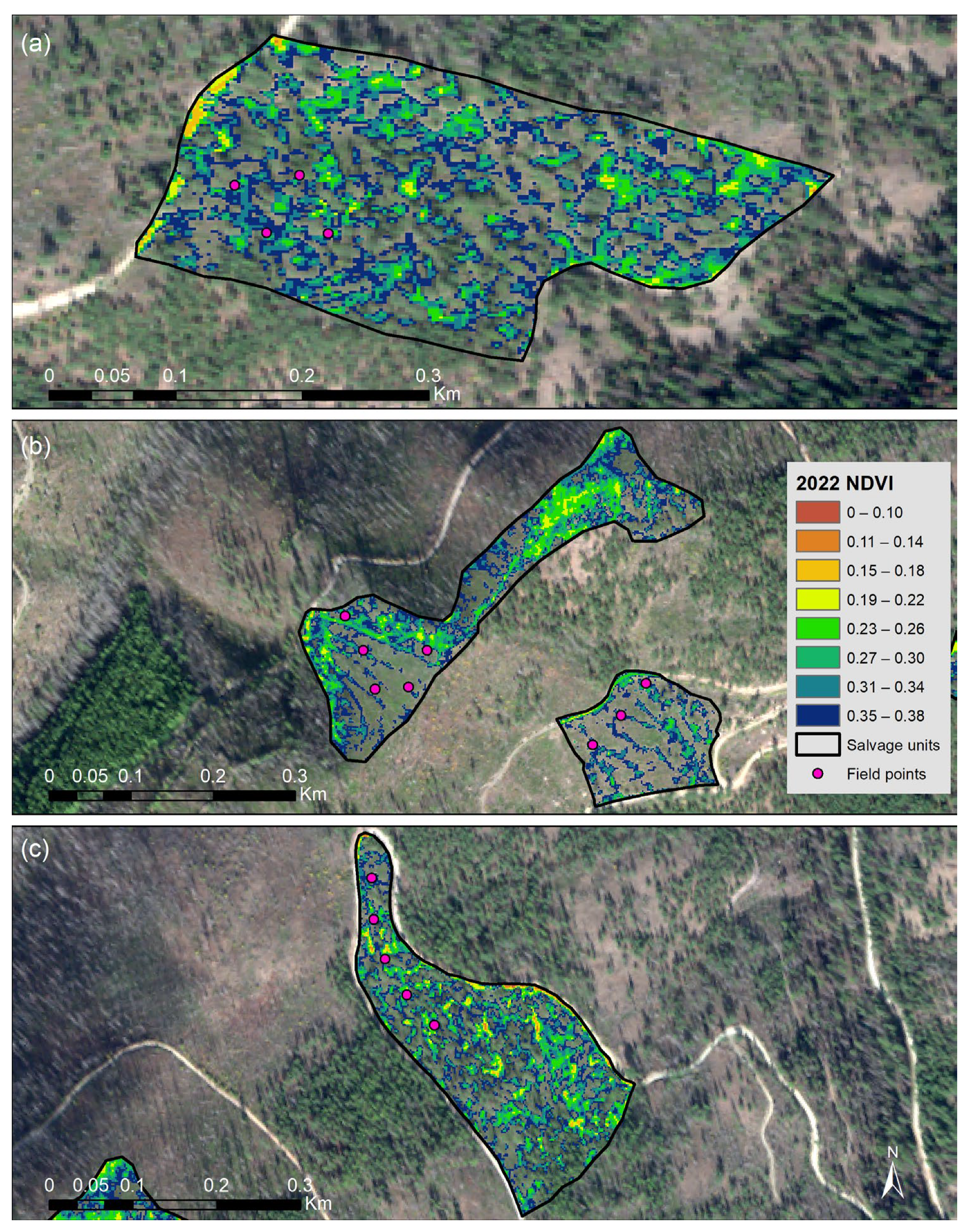 Forests 14 02218 g011