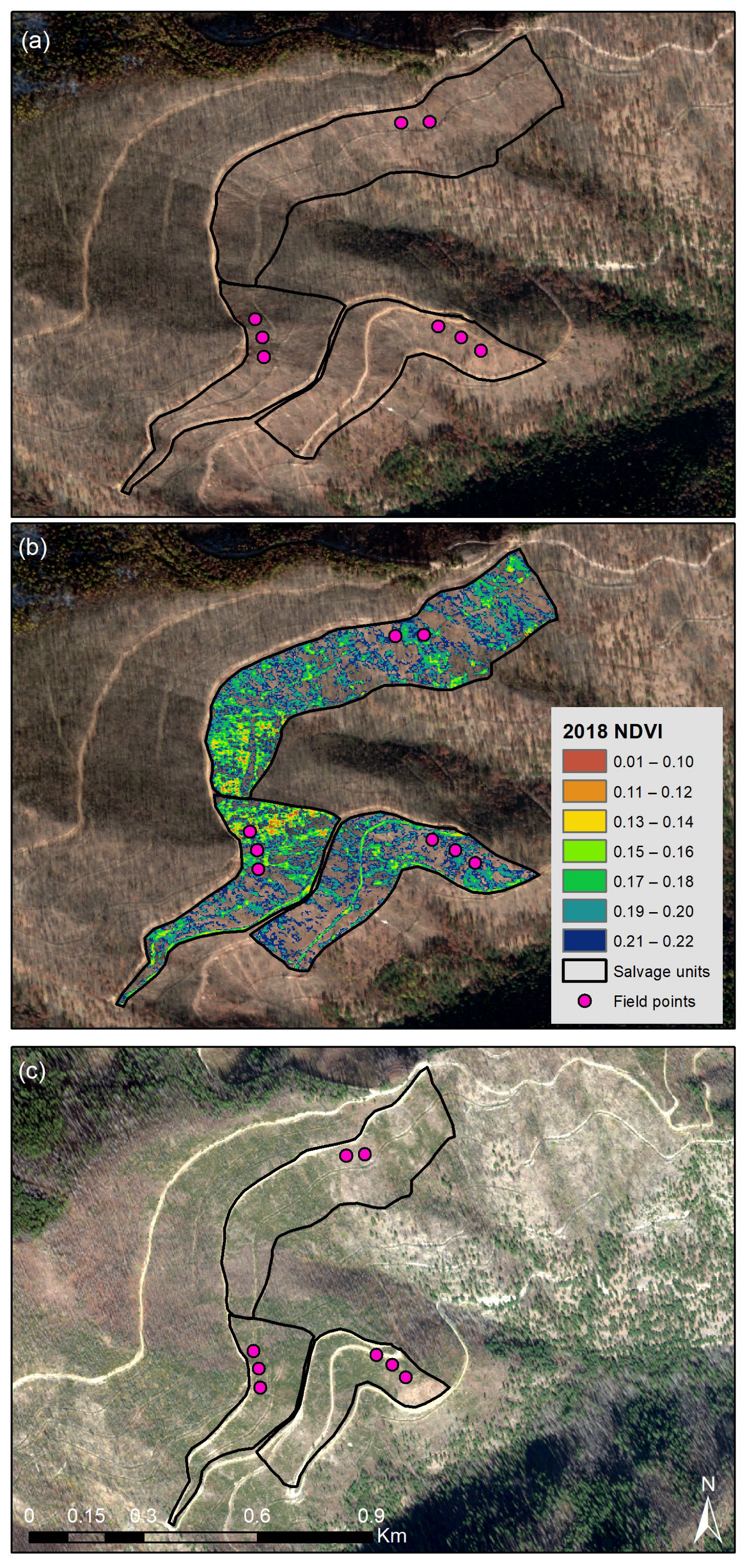 Forests 14 02218 g012