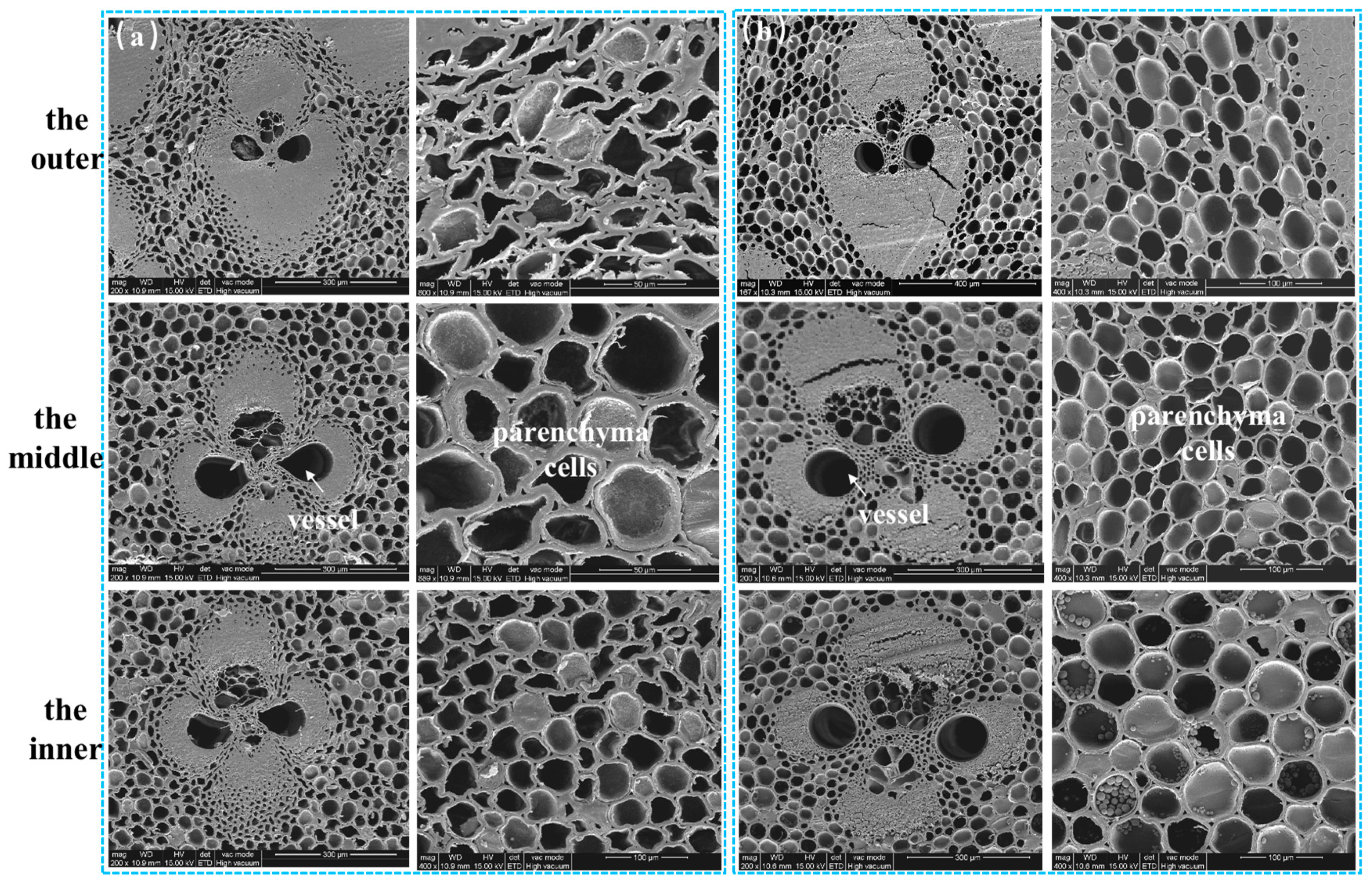 Forests 14 02220 g003