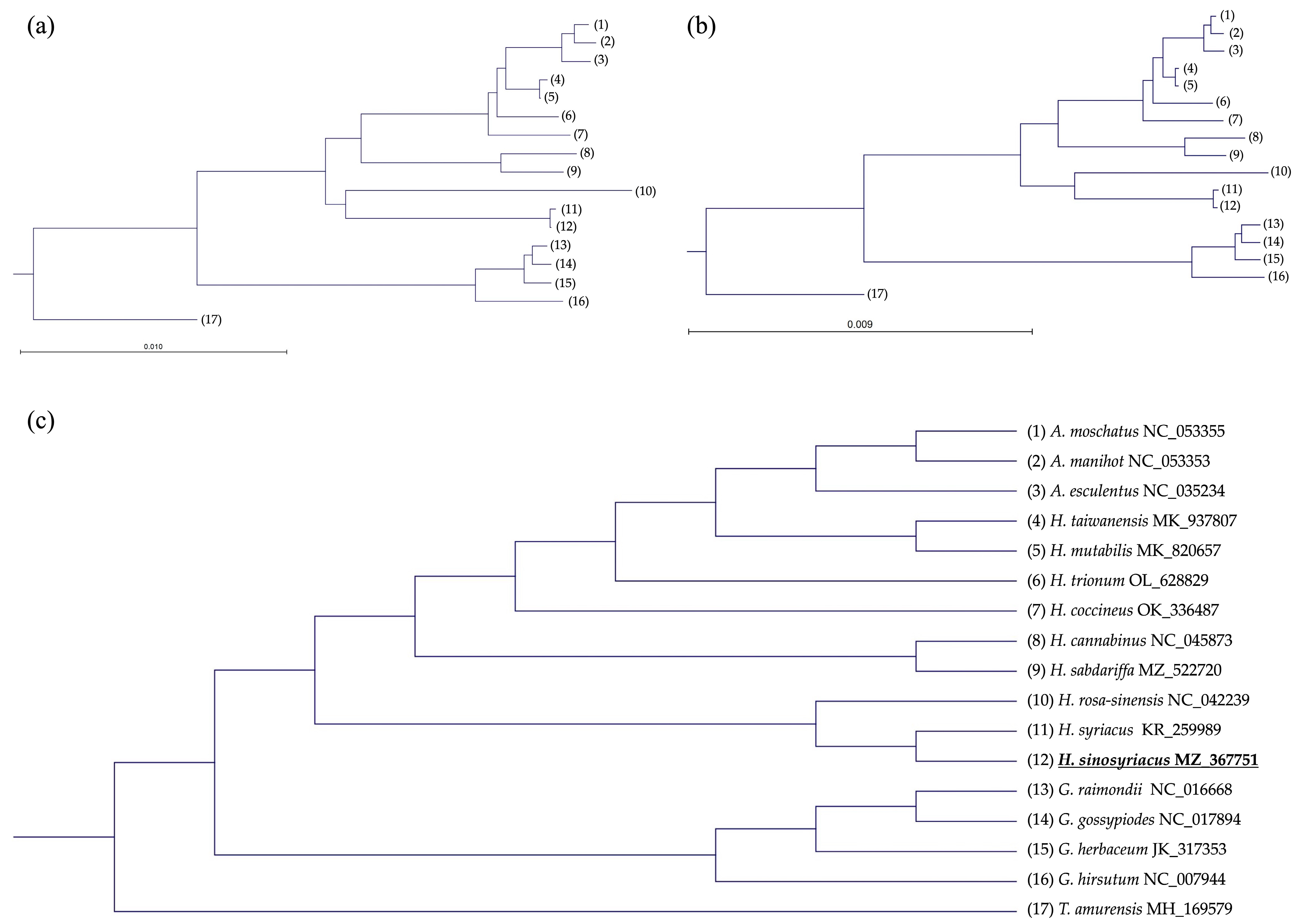 Forests 14 02221 g007