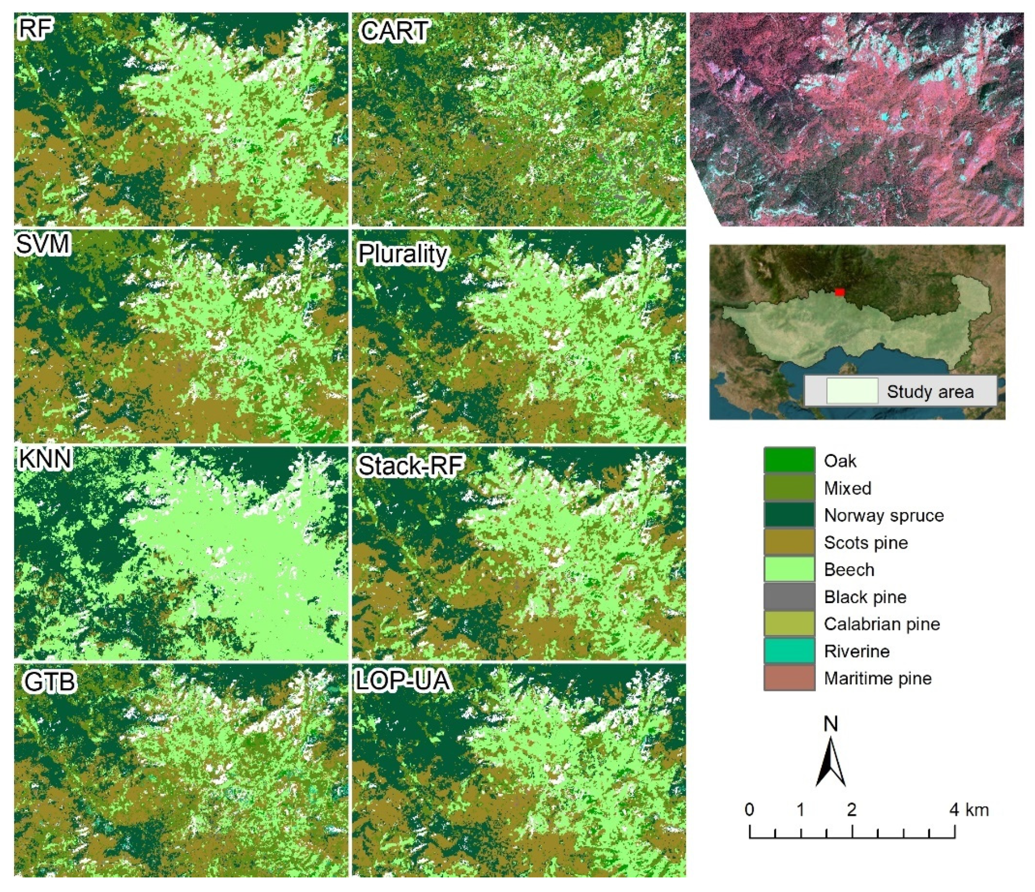 Forests 14 02224 g008