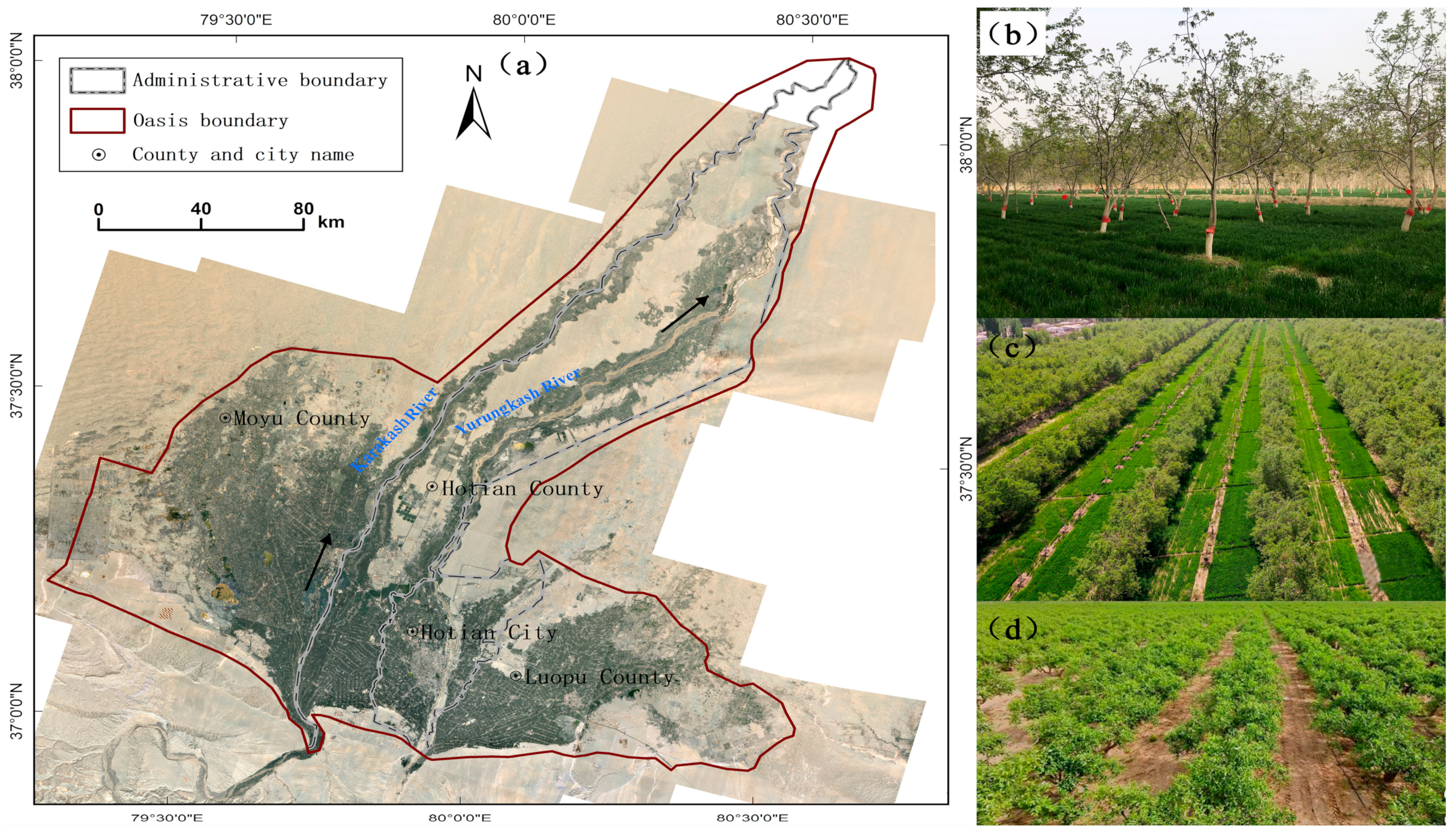Forests 14 02259 g001