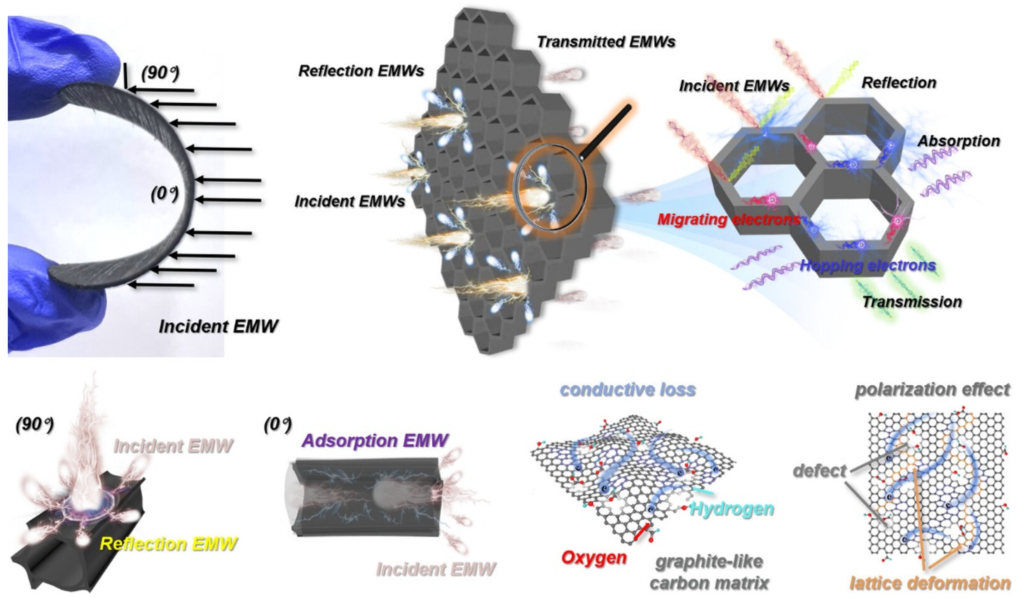 Forests 14 02266 g006