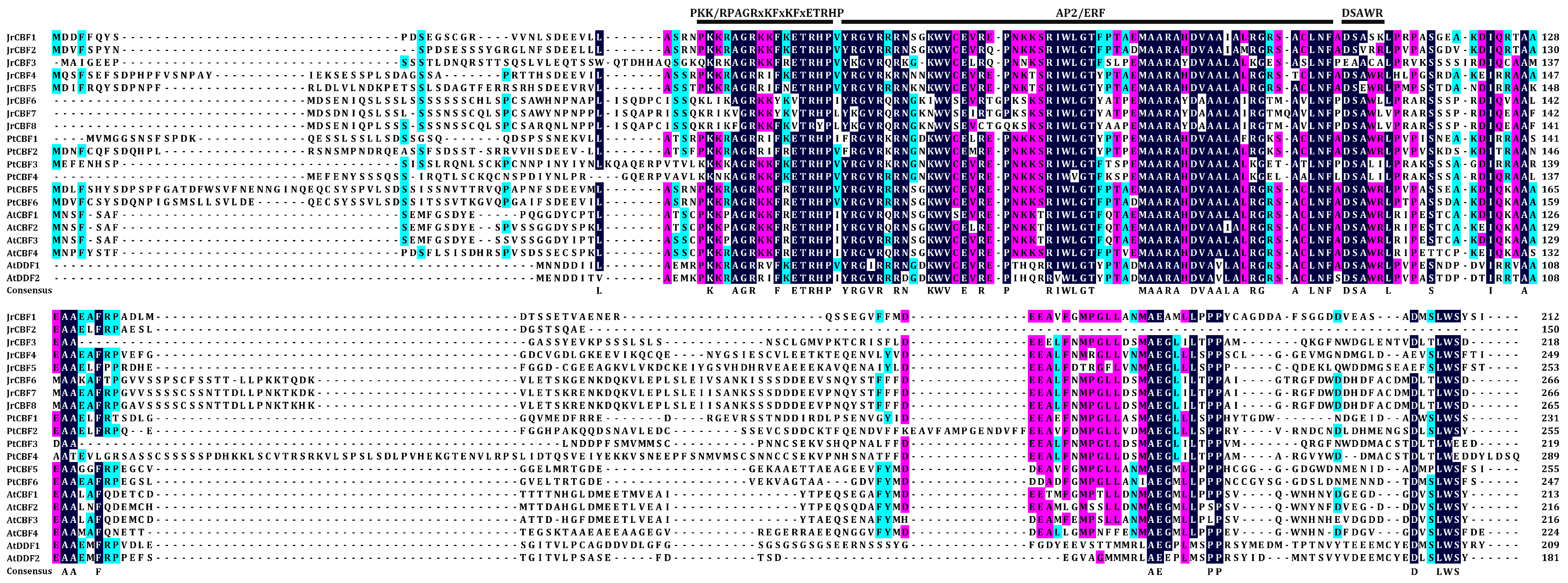Forests 14 02274 g001