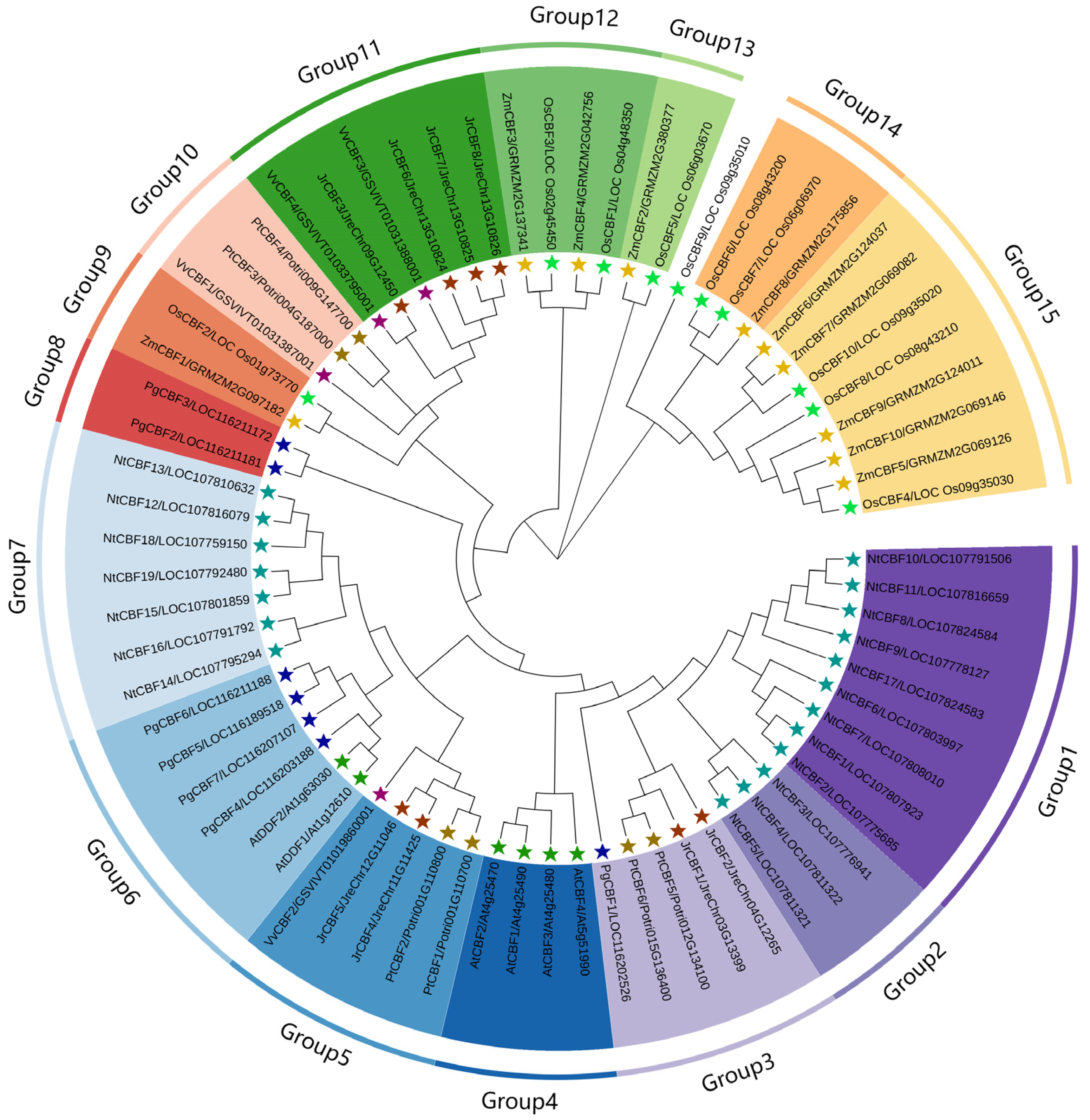 Forests 14 02274 g003