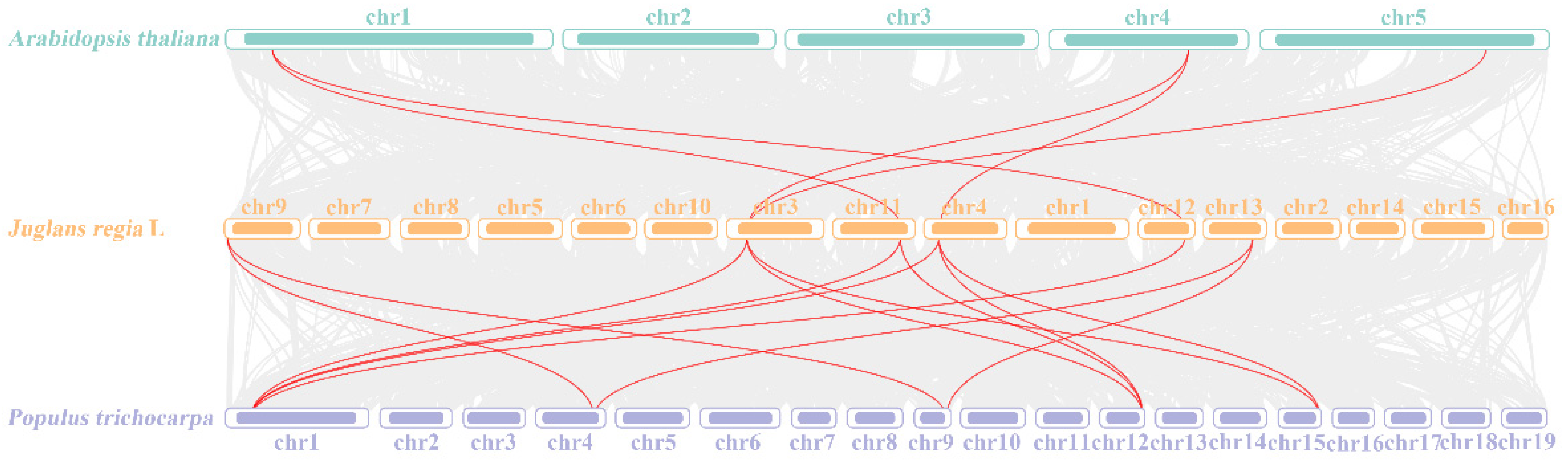 Forests 14 02274 g006