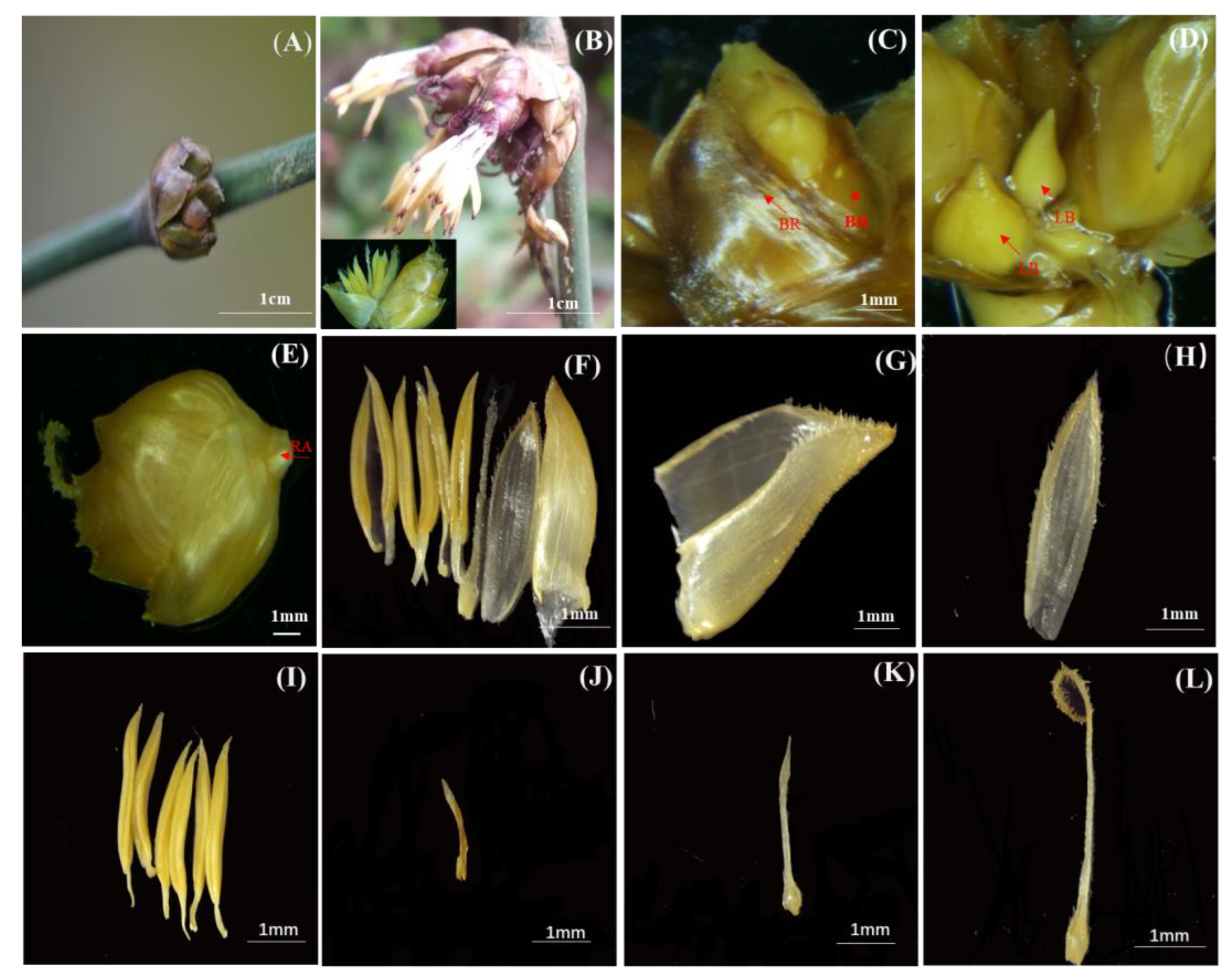 Forests 14 02282 g001