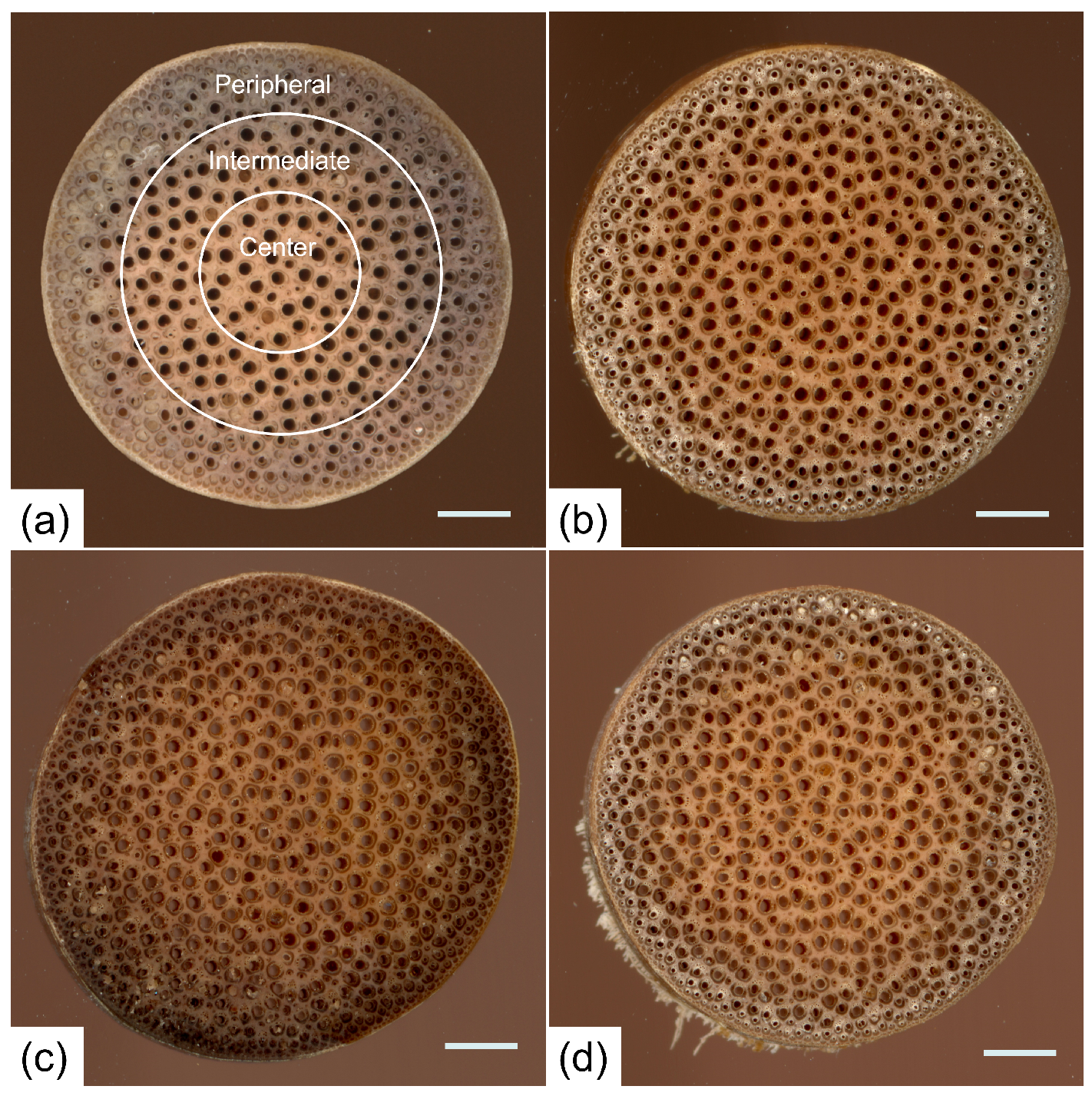 Forests 14 02288 g002