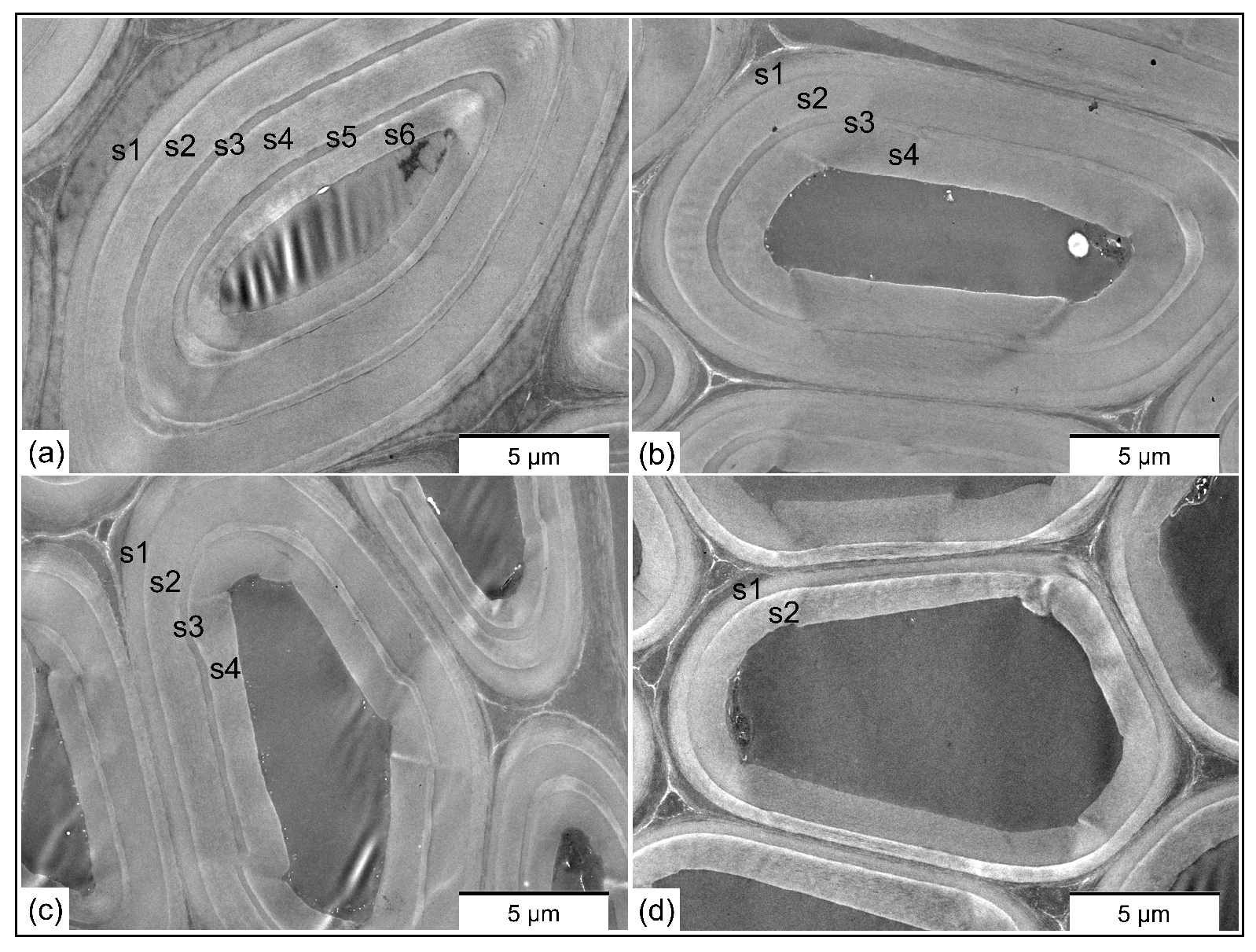 Forests 14 02288 g004