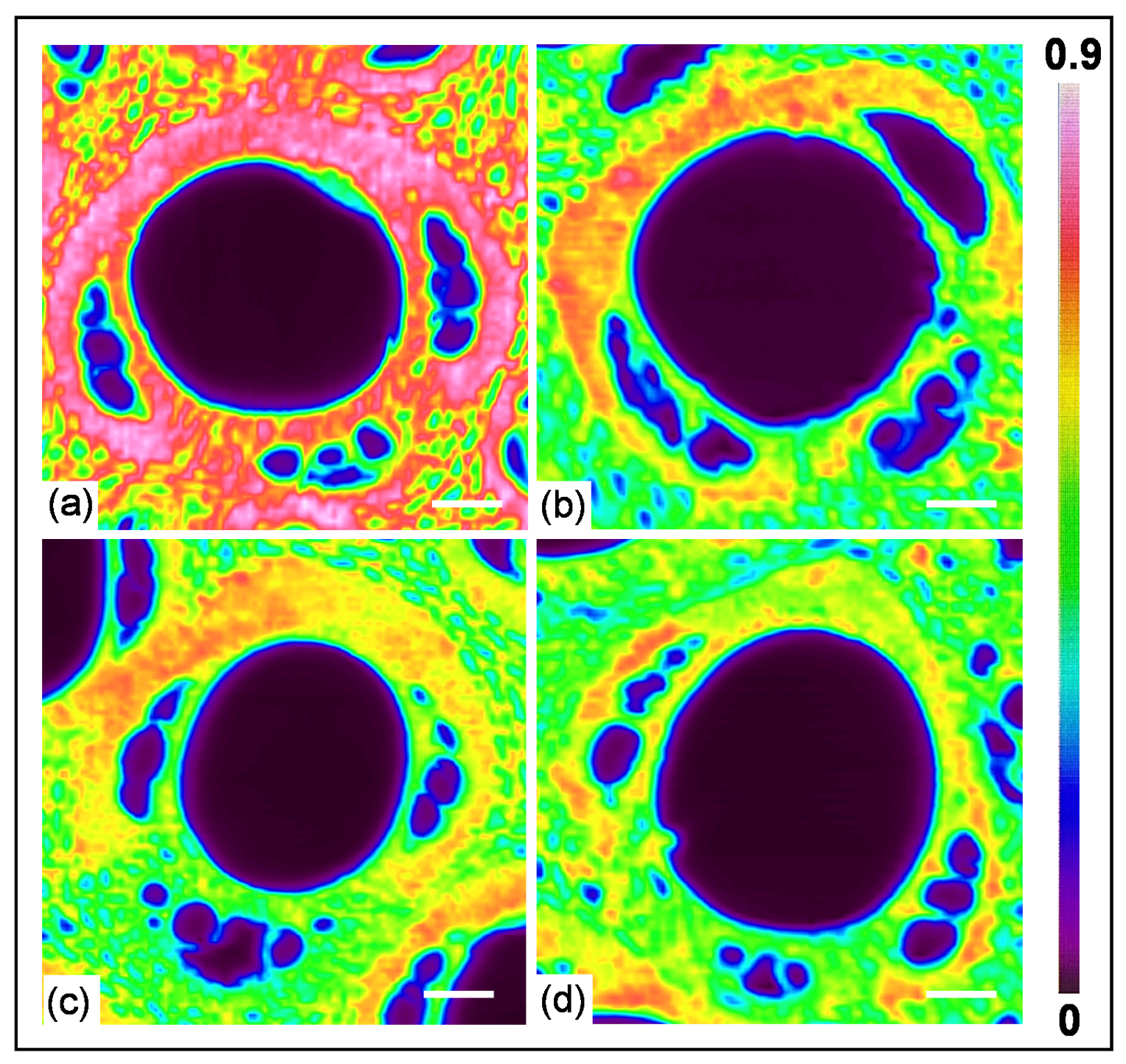 Forests 14 02288 g005