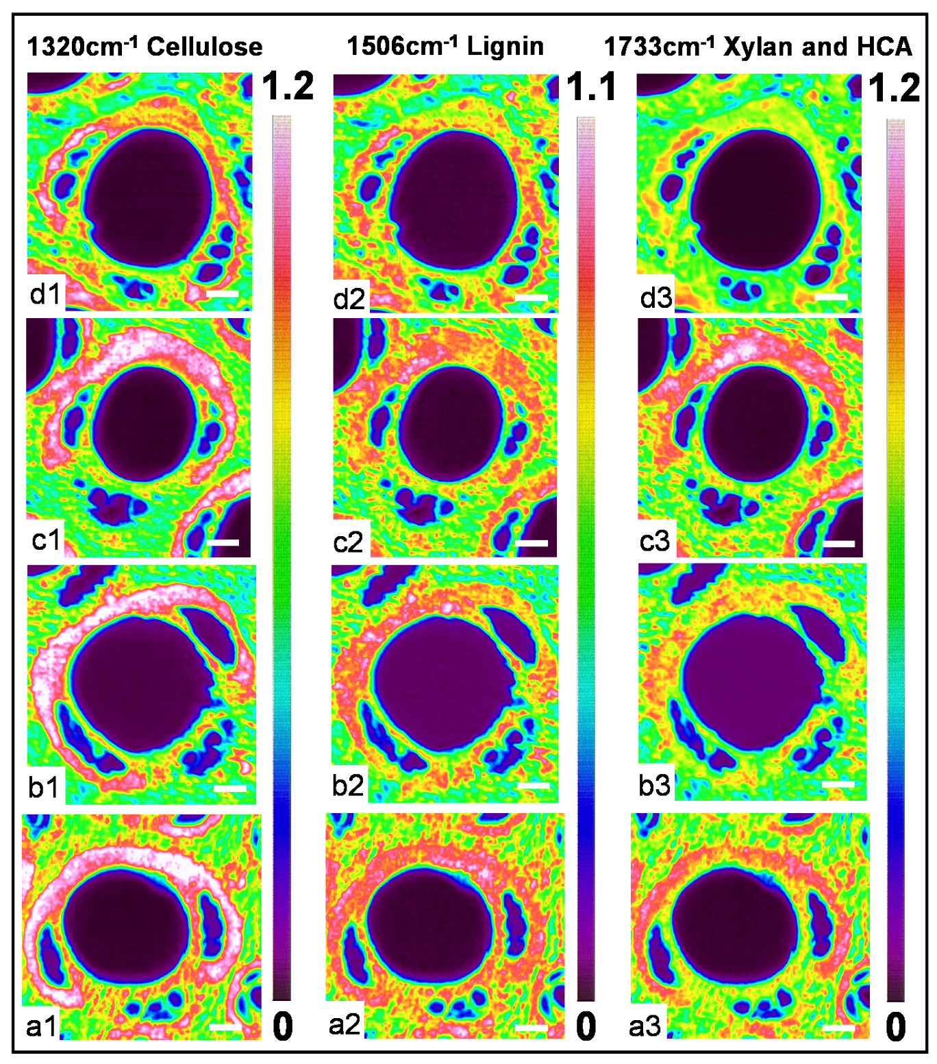 Forests 14 02288 g007