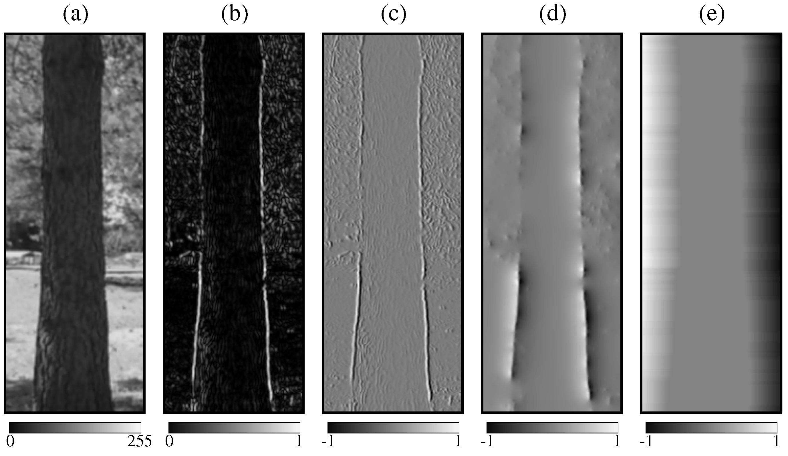 Forests 14 02299 g003