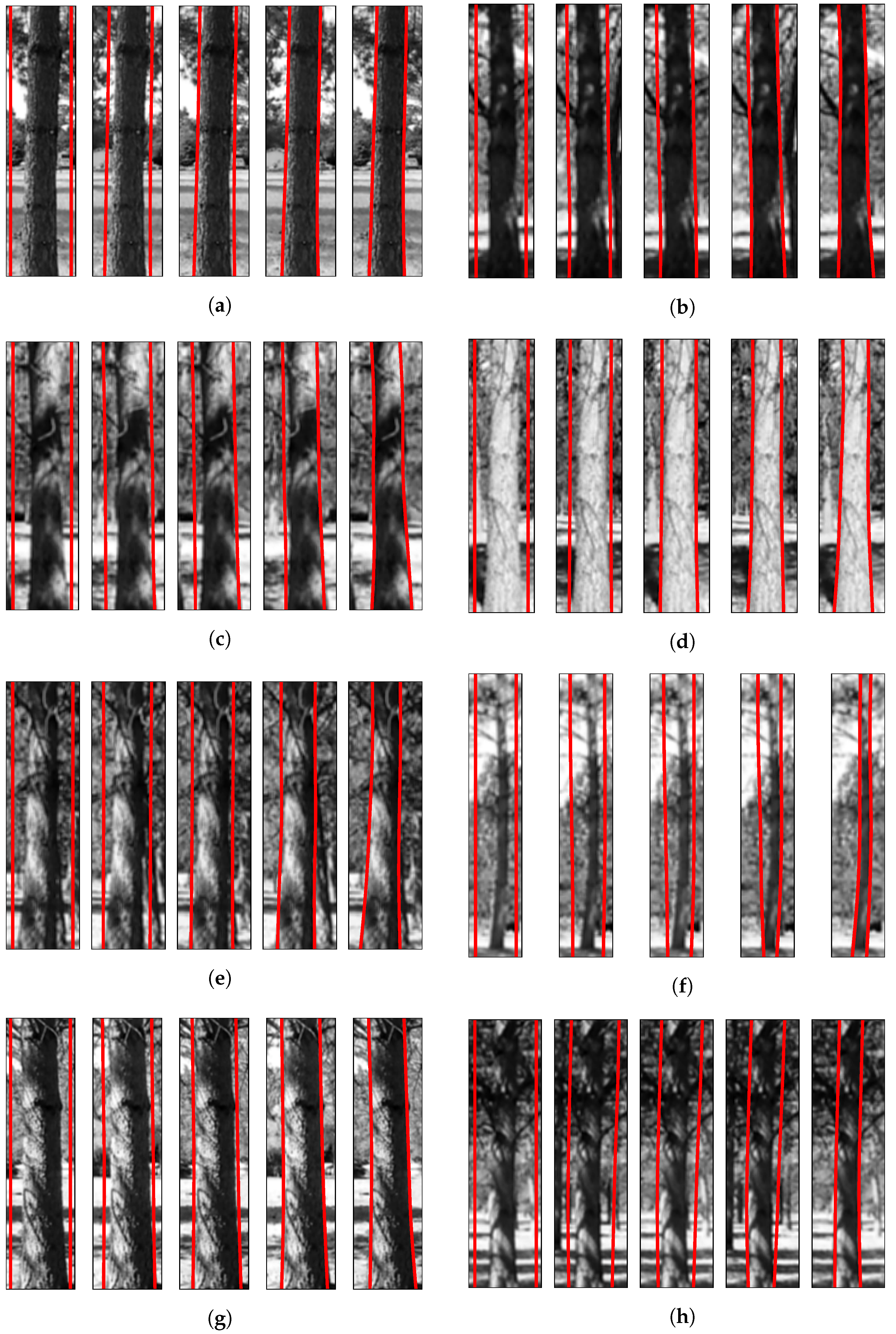 Forests 14 02299 g007