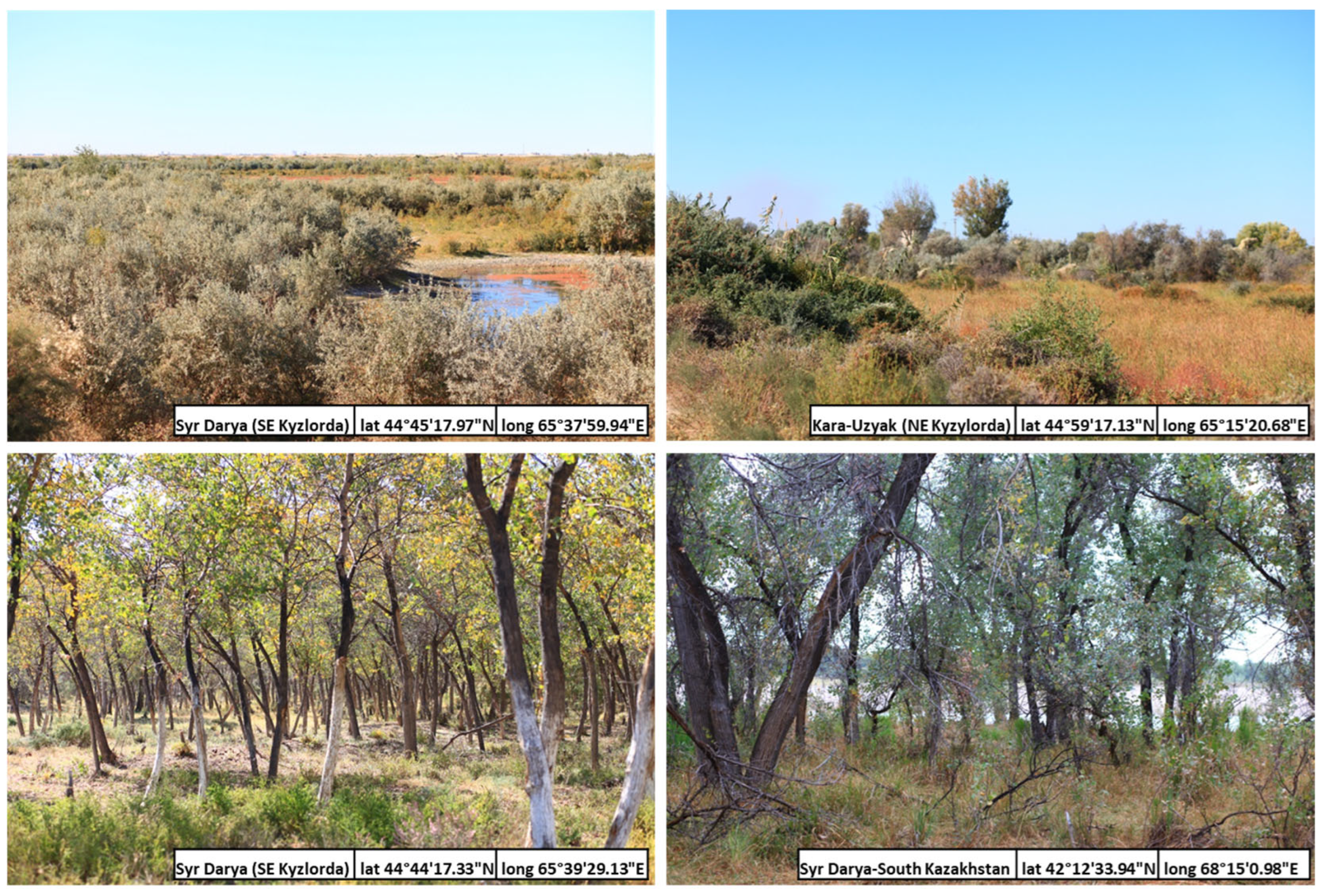 Forests 14 02305 g002