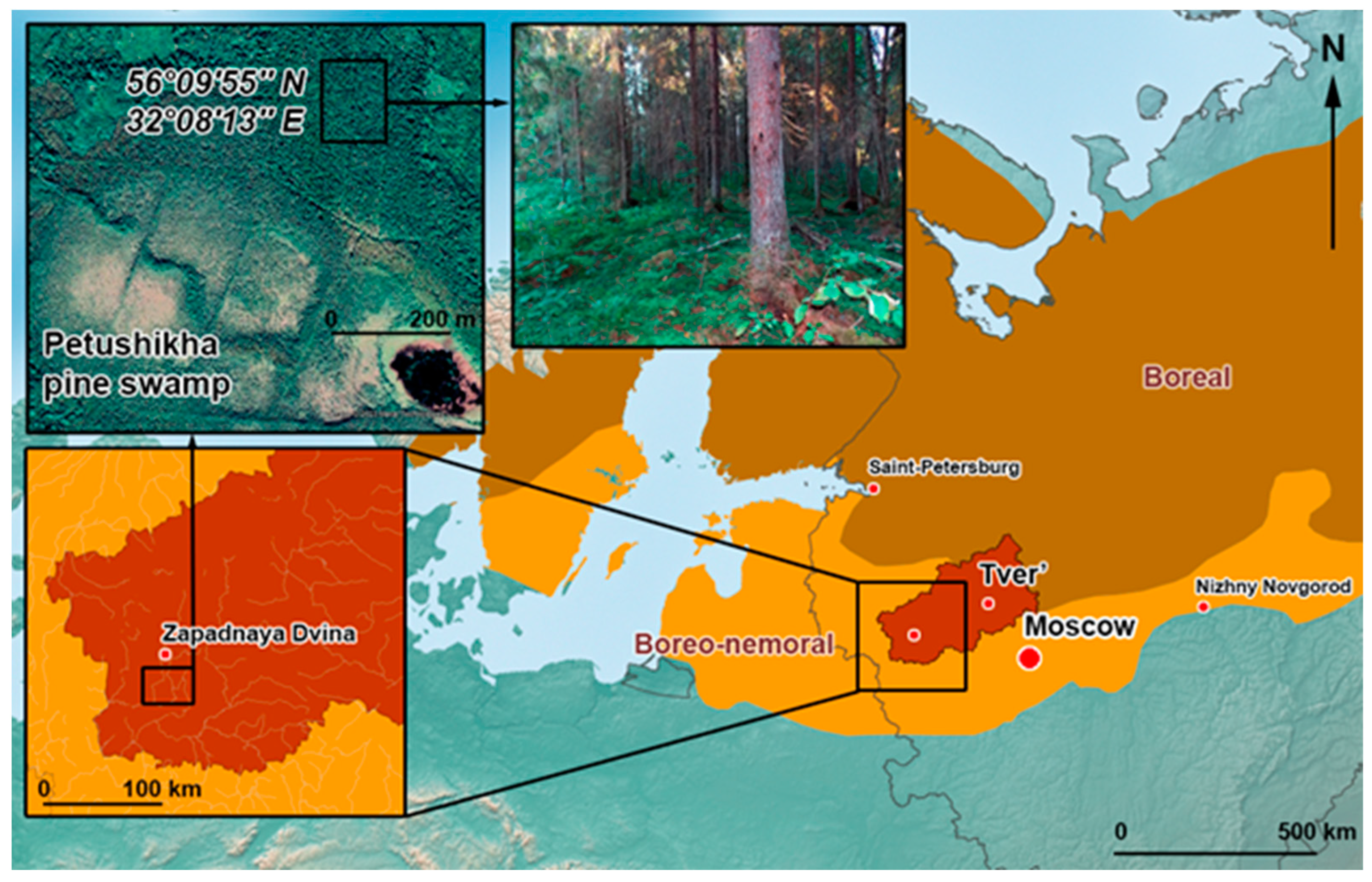 Forests 14 02313 g001