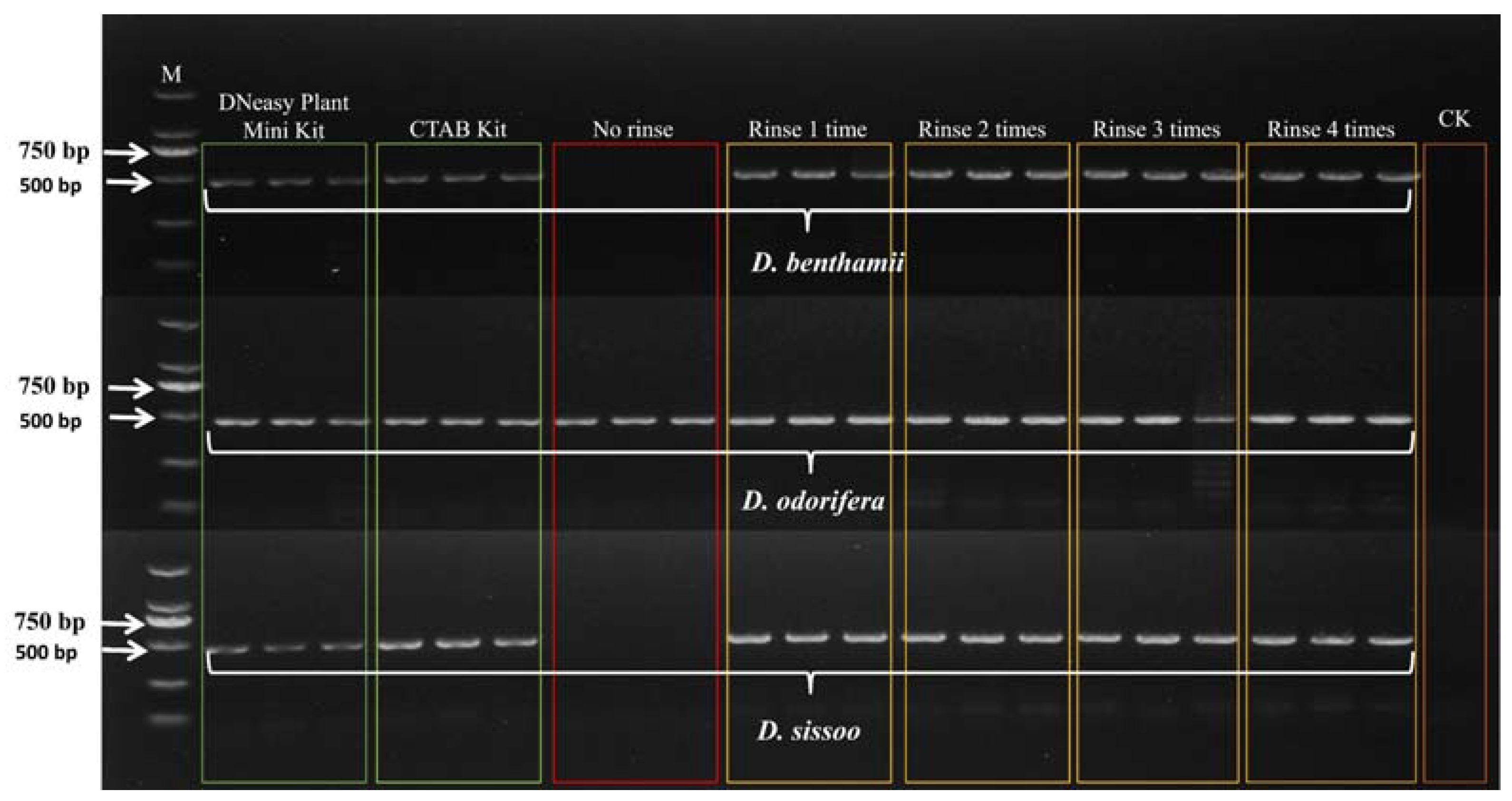 Forests 14 02318 g001
