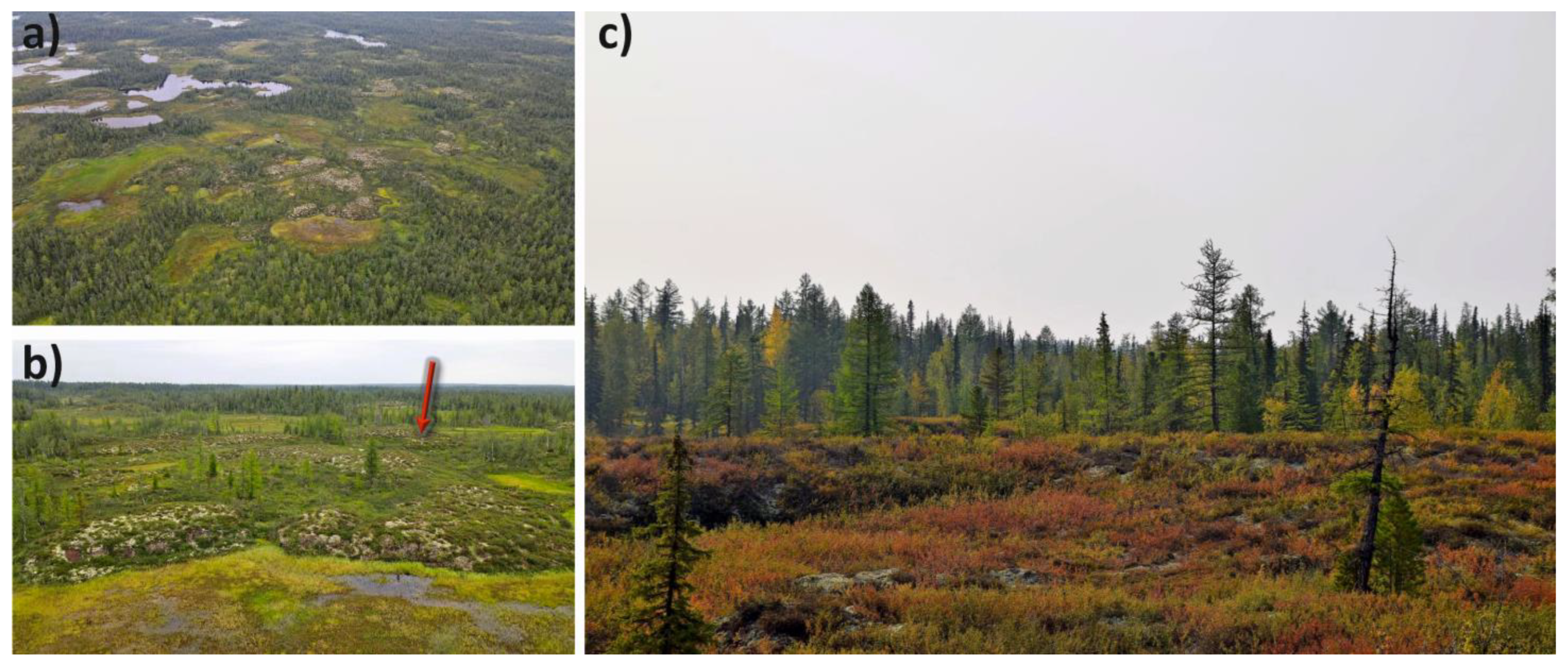 Forests 14 02321 g002