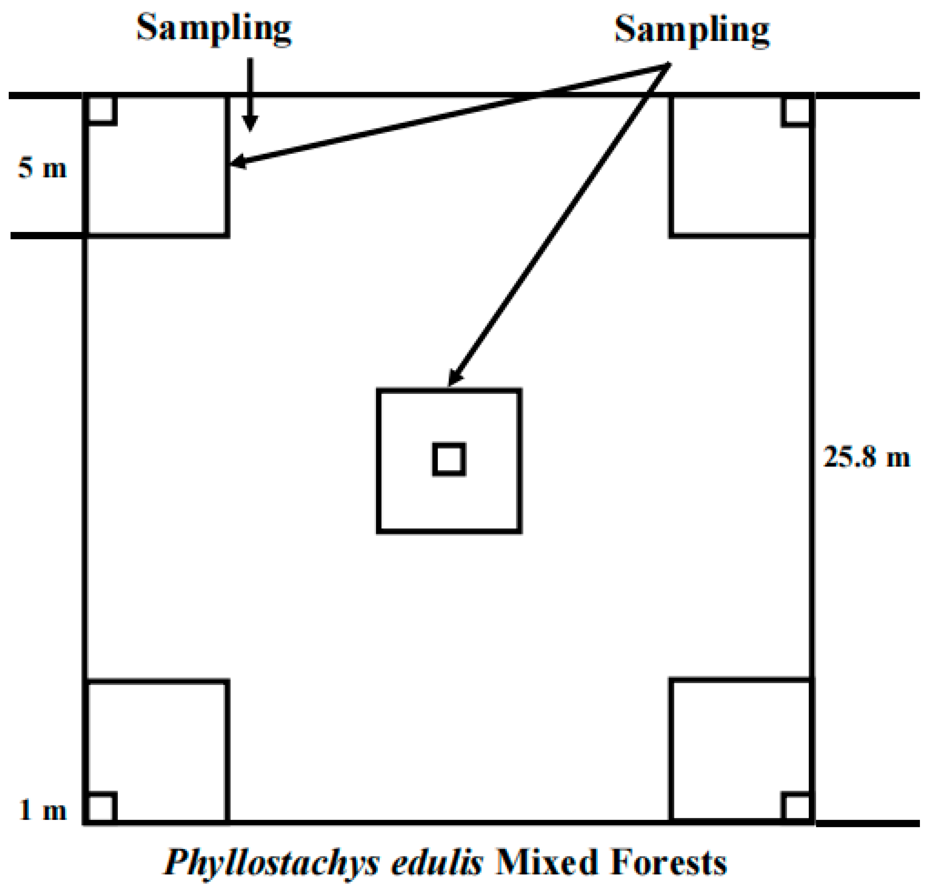 Forests 14 02325 g001 Forests 14 02325 g001