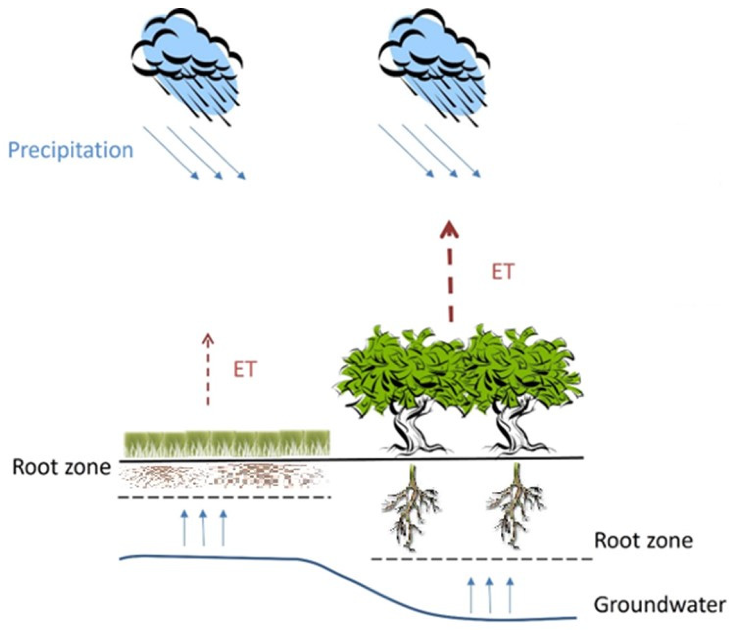 Forests 14 02328 g001