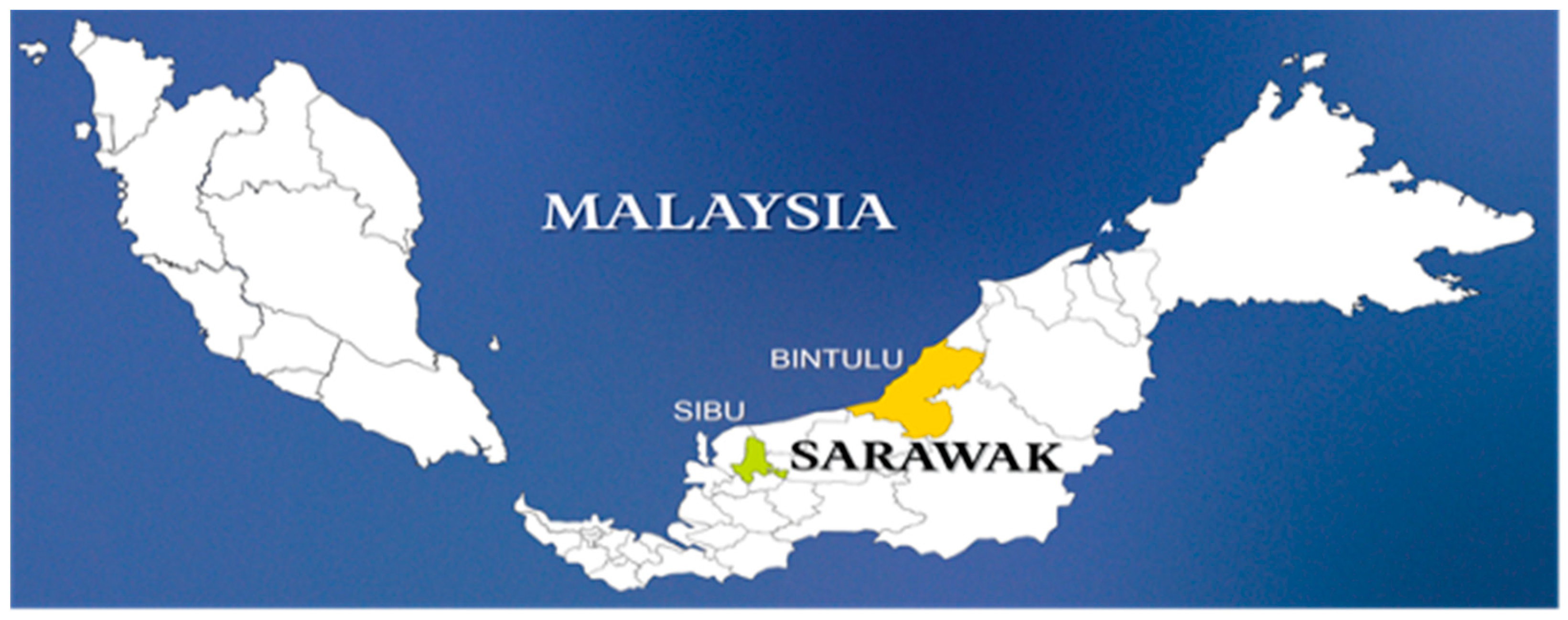 Forests 14 02337 g001