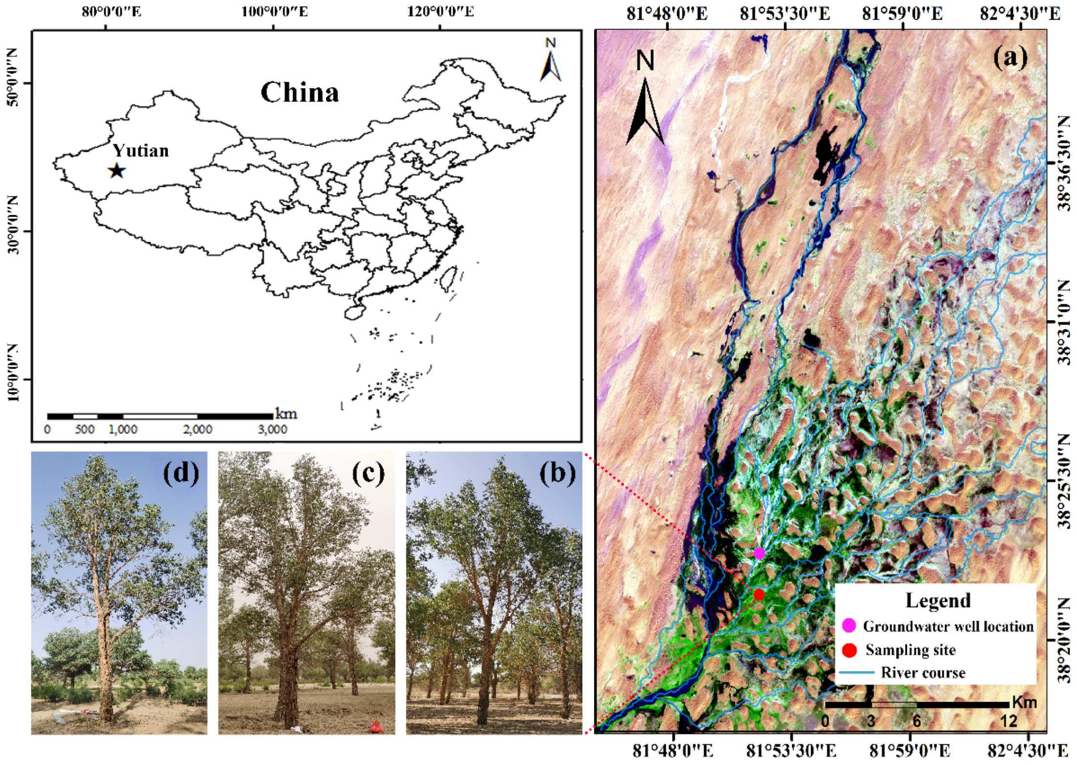 Forests 14 02338 g001